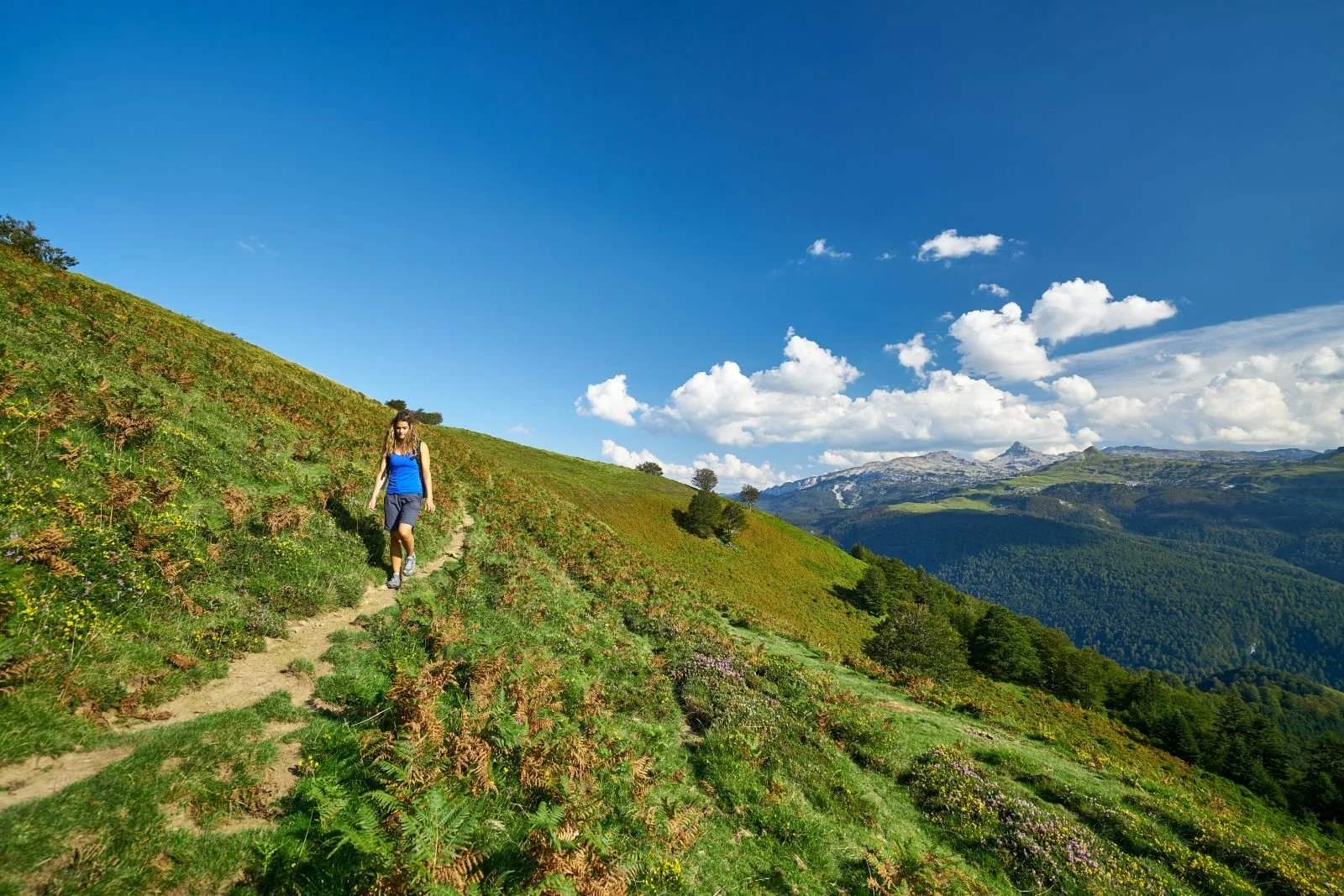 Une femme marche sur un sentier de montagne verdoyant avec un ciel bleu et des nuages blancs.