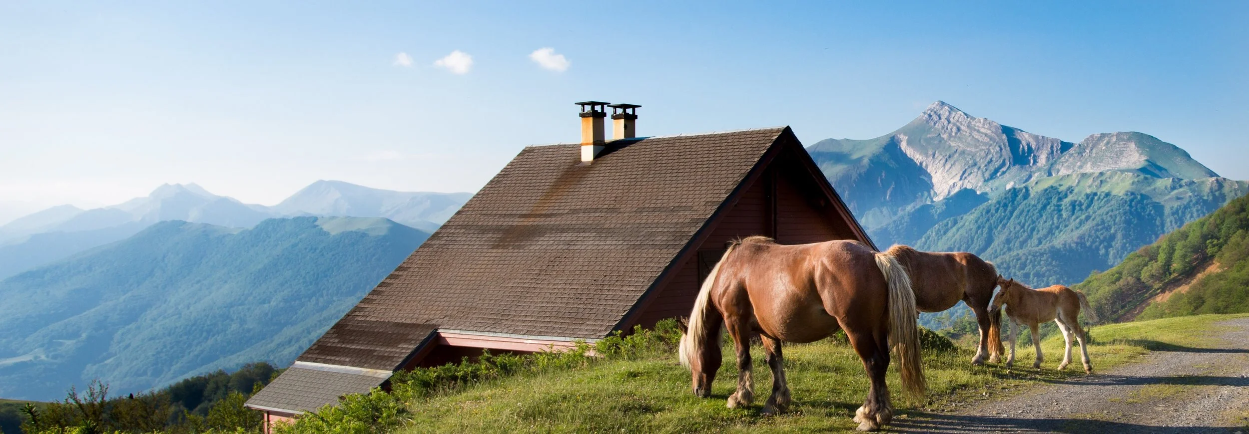 Une maison en pente dans un paysage de montagnes, avec deux chevaux barycentres au premier plan.
