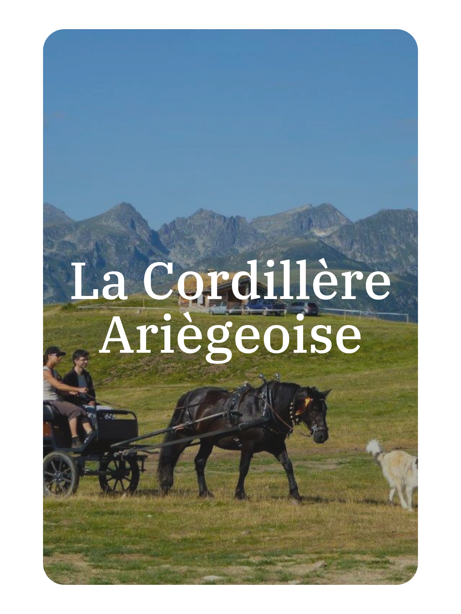 Une scène de la chaîne des Pyrénées avec des montagnes en arrière-plan, un champ vert au premier plan, on voit une calèche tirée par un cheval, deux personnes assises dedans et un chien blanc devant la calèche.