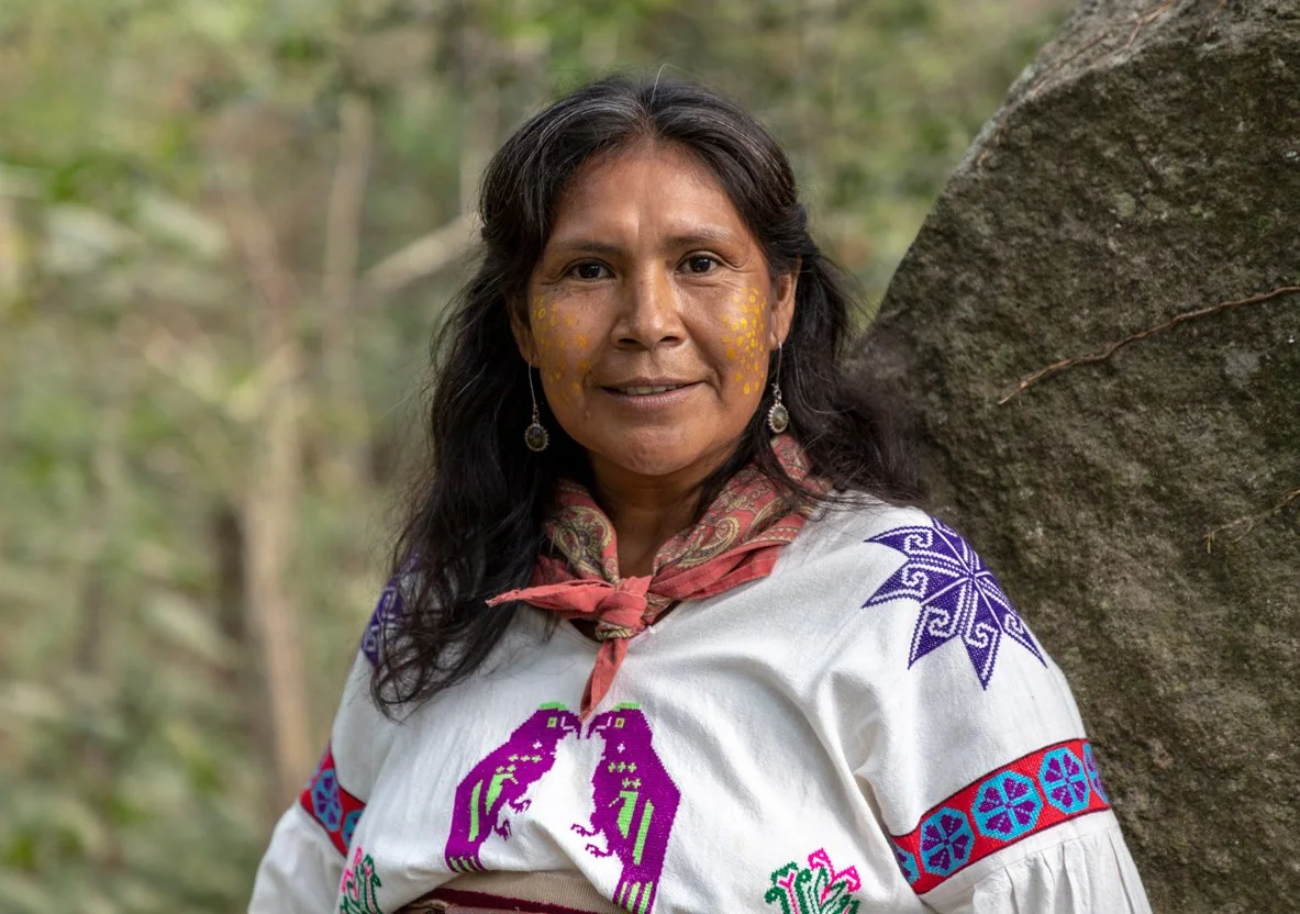 Laidita