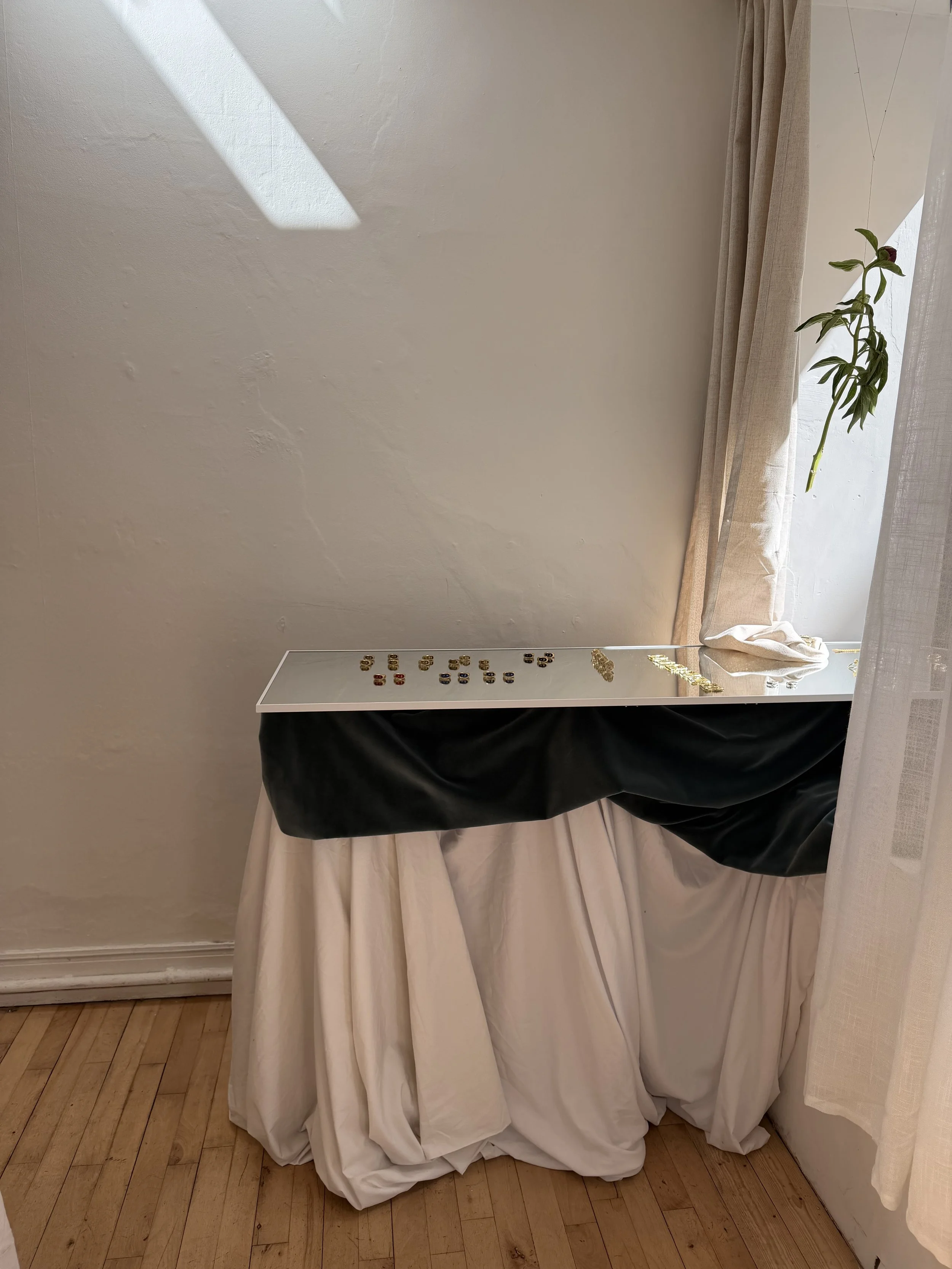 A display of jewelry including rings and earrings on a glass shelf, with a white curtain and a potted plant nearby, all set against a white wall.