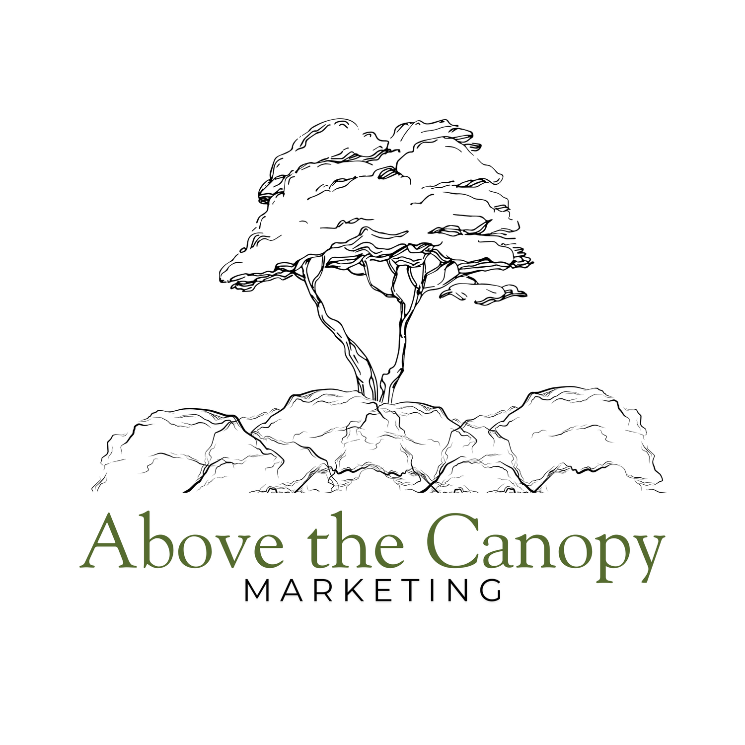Abovethecanopy
