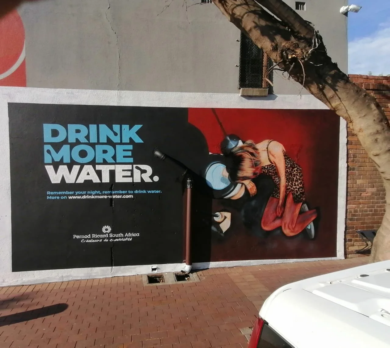 Wall Murals sa 4.jpeg