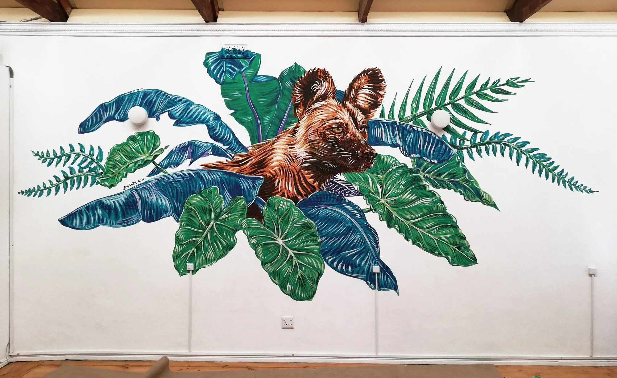 Chris Auret Wild Dog Studio Bolland Muiz.jpg