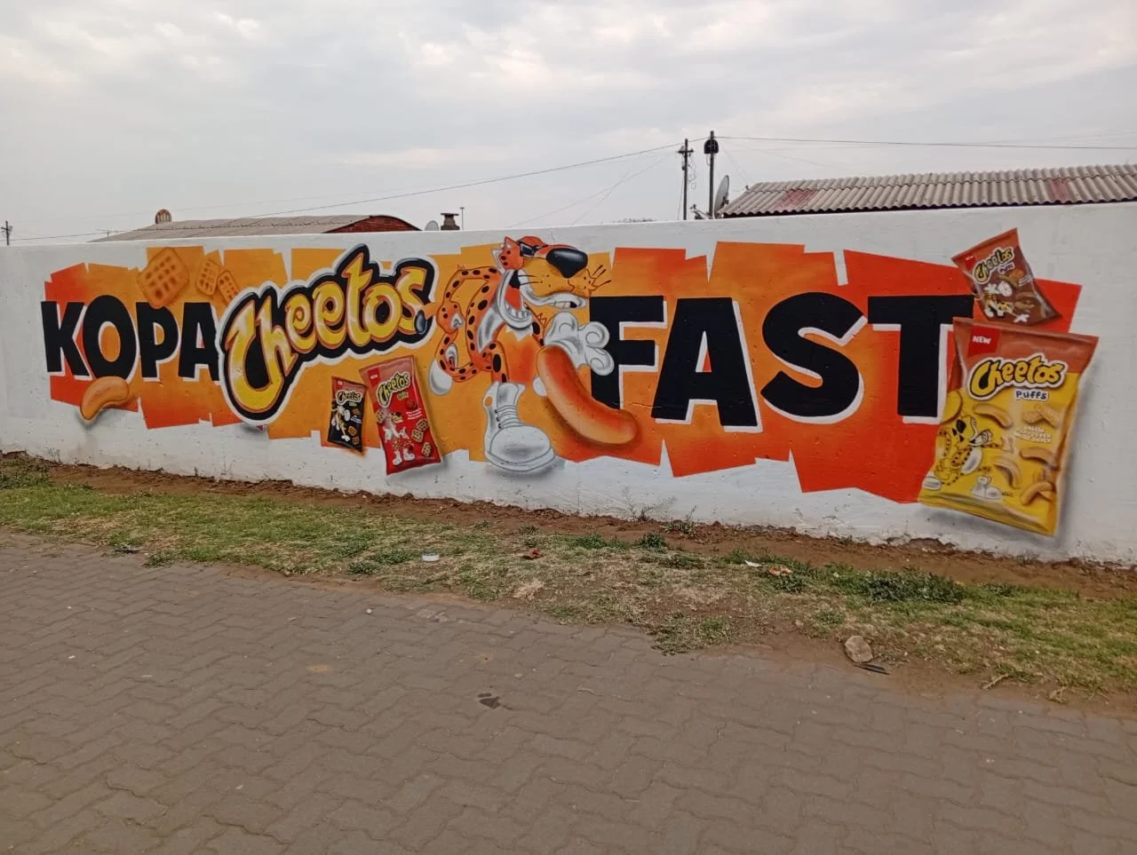 Wall Murals sa 32.jpeg