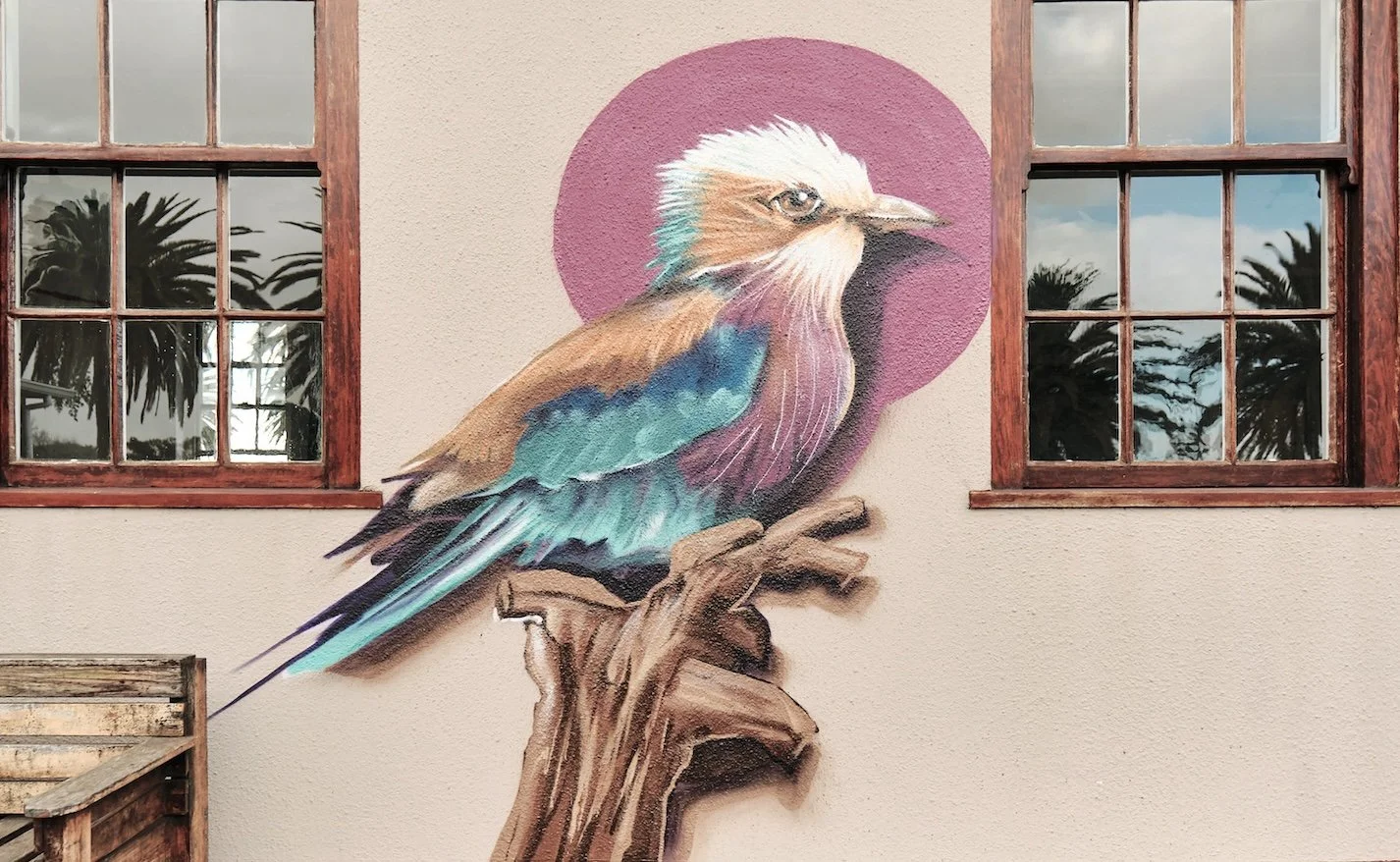 66447b2059c2703746869fe5_Marti Lund Lilac Breasted Roller.jpg