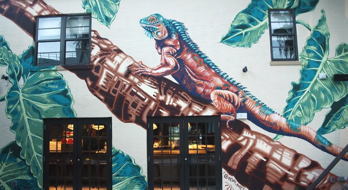 Chris Auret Iguana Miami.jpg