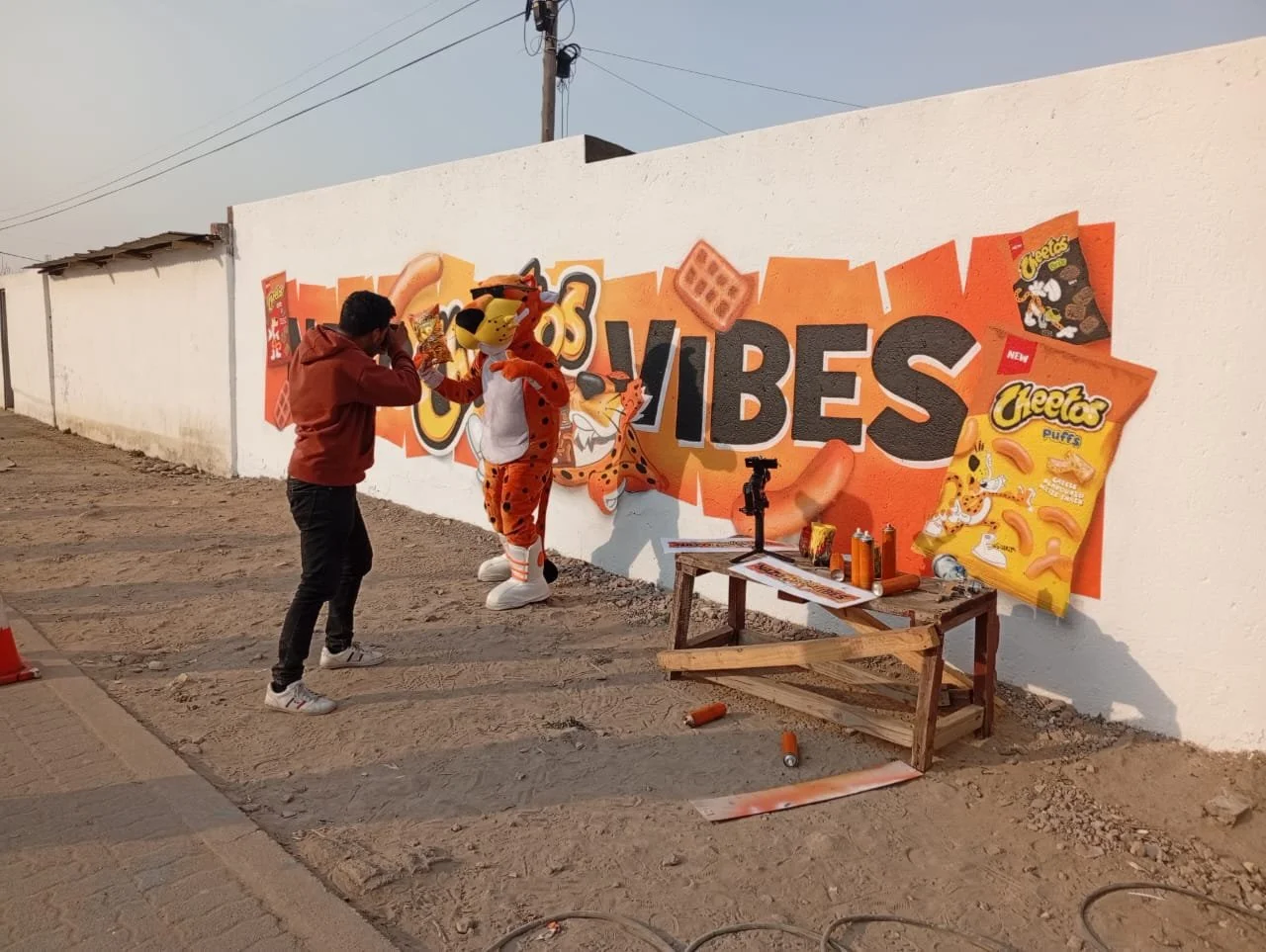 Wall Murals sa 31.jpeg