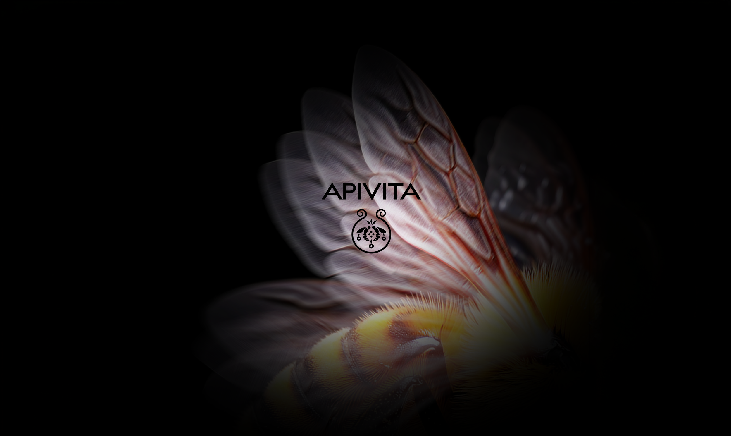 Apivita Gift Box