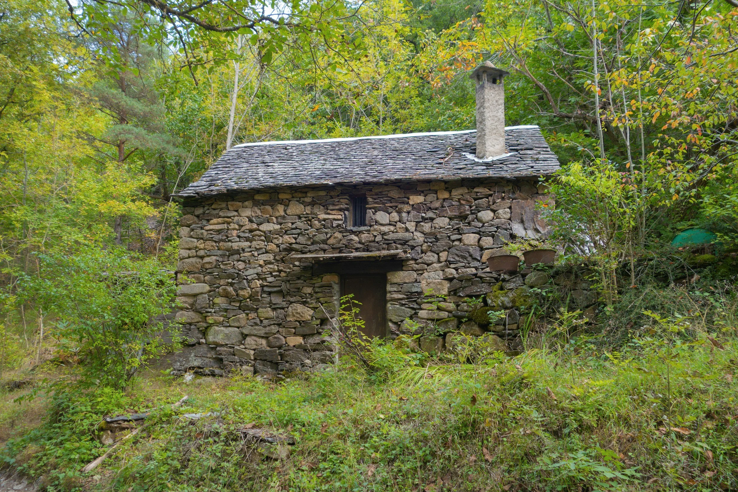 The Trevallion Case and the Two Separations