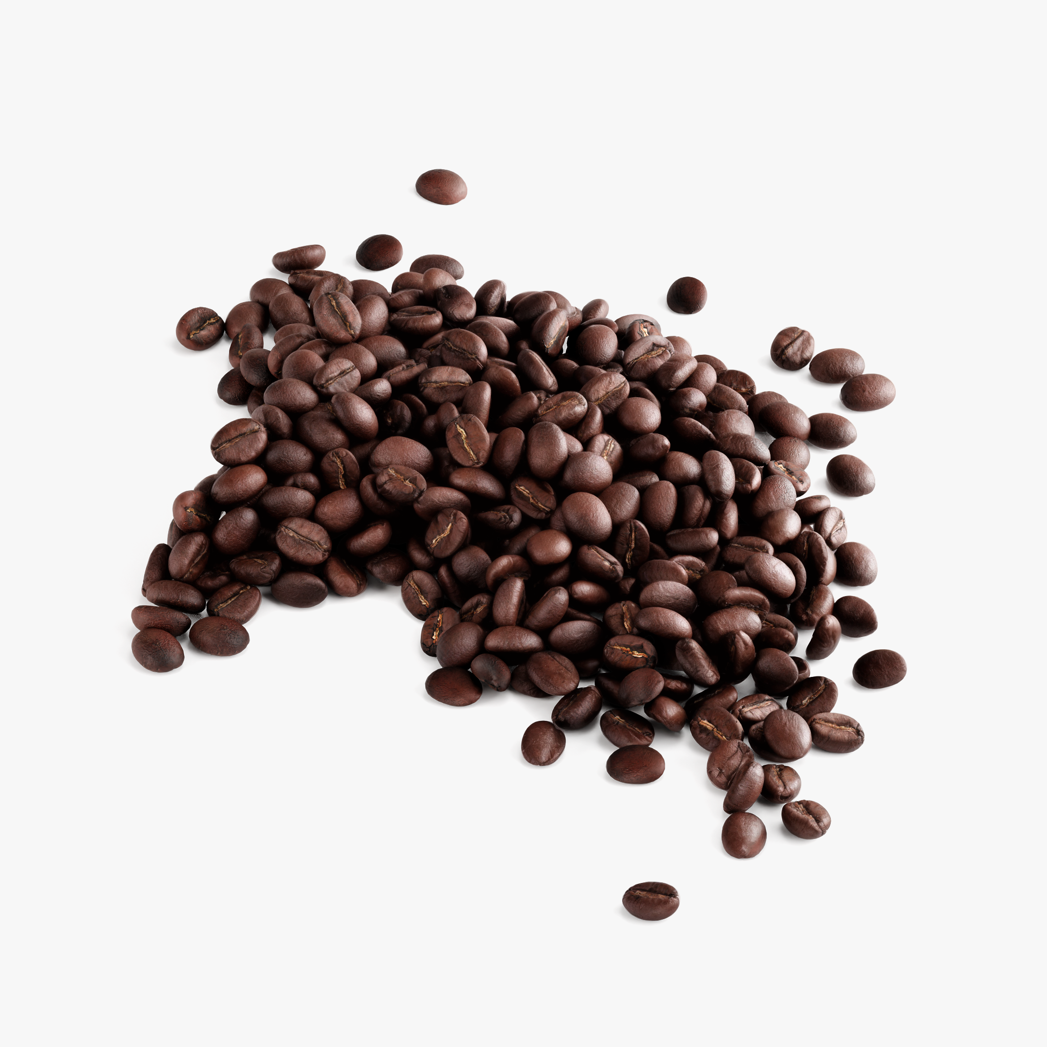 1786502511004-generated-label-image-4.png
