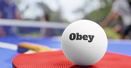 A white ping pong ball with the word 'Obey' printed on it, resting on a red surface outdoors.