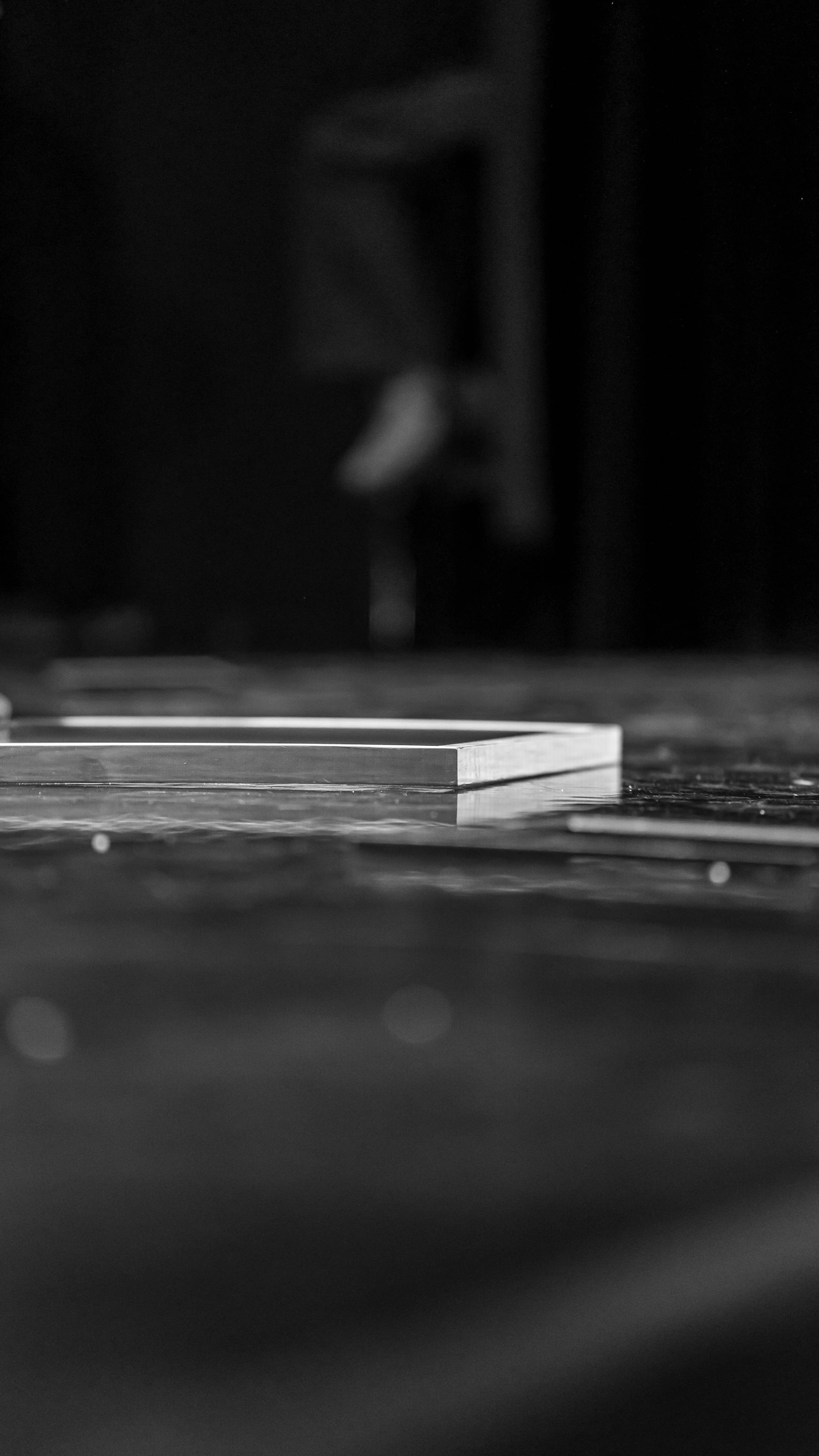 A7407903.jpg