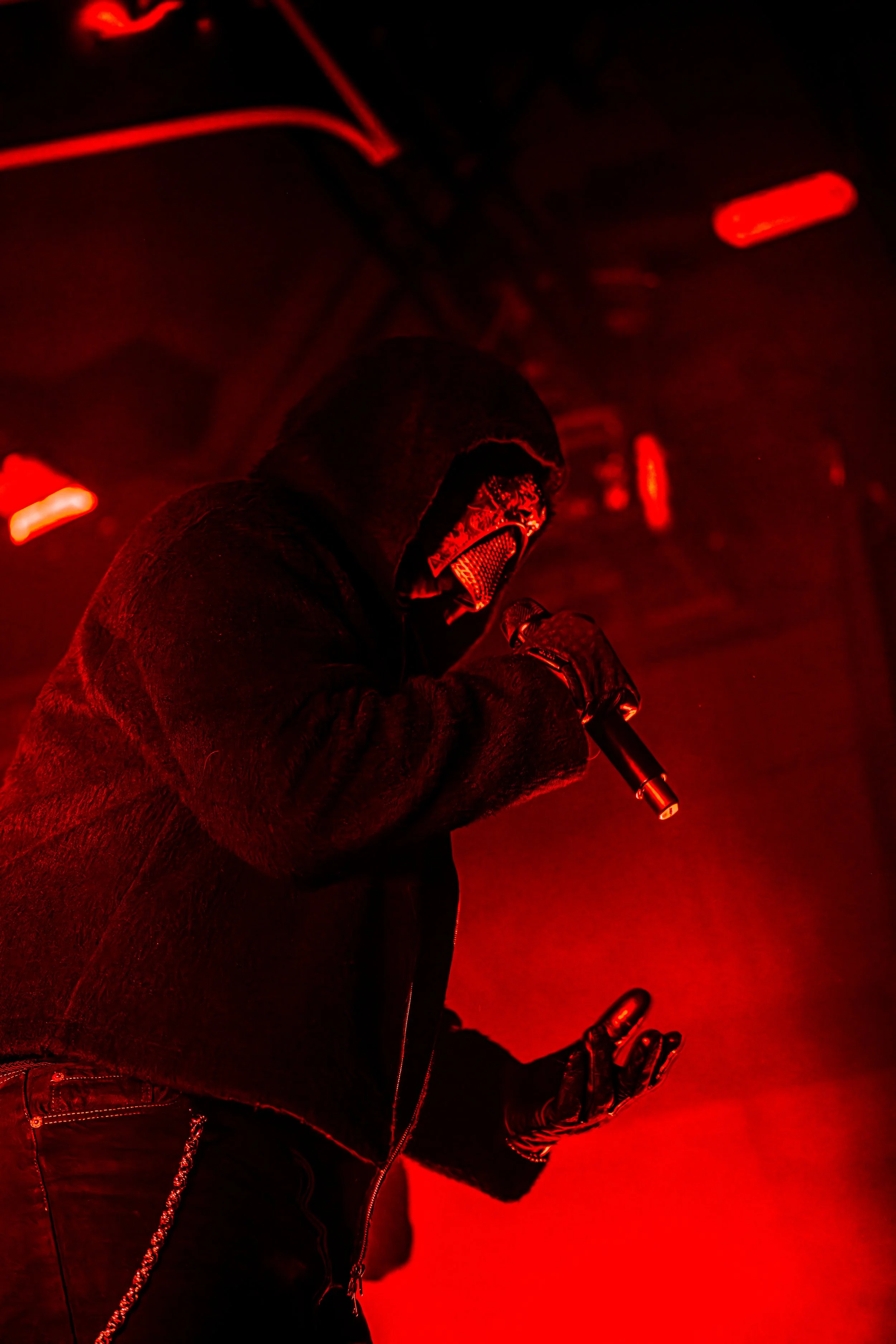 A7403250.jpg