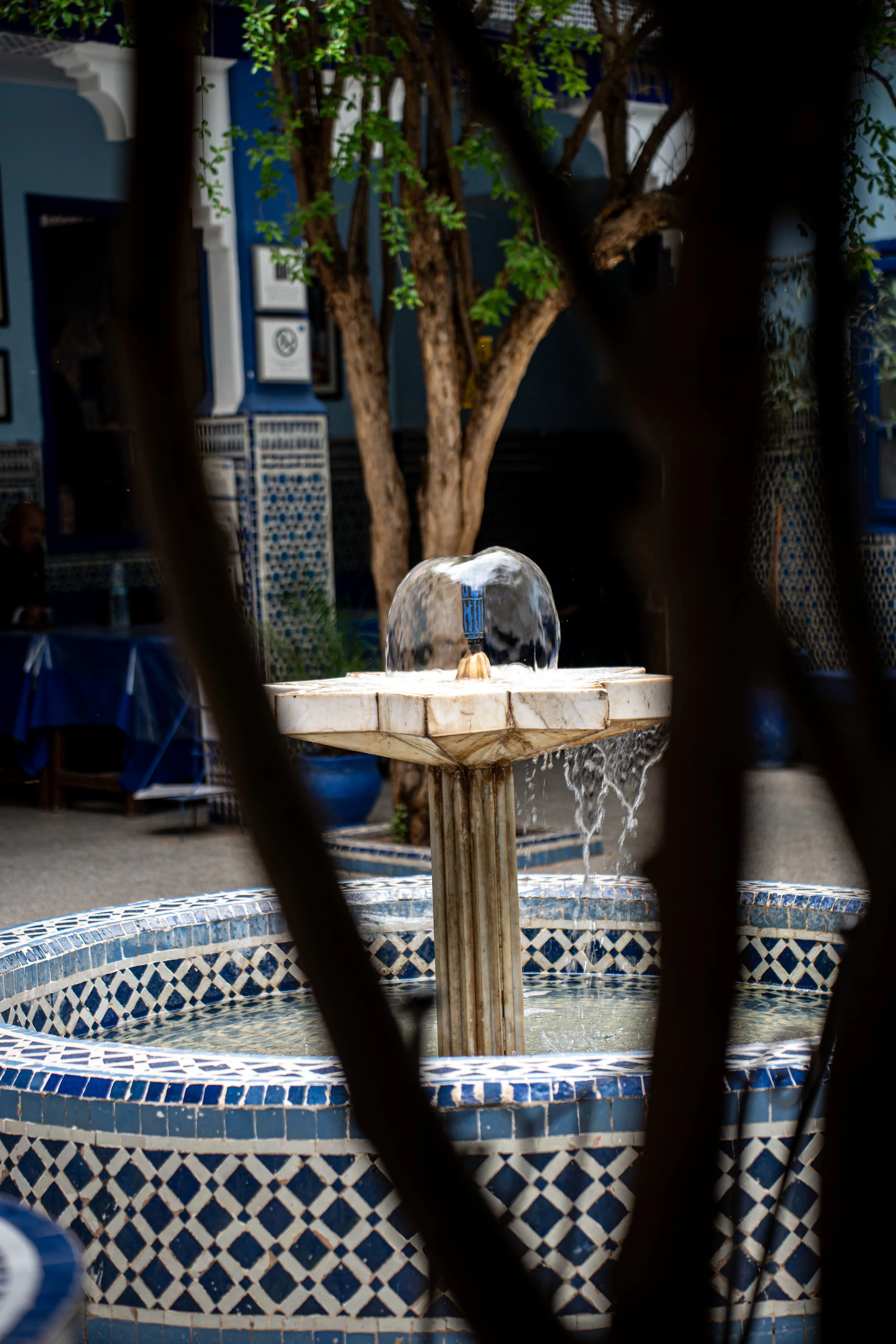 A7409500.jpg