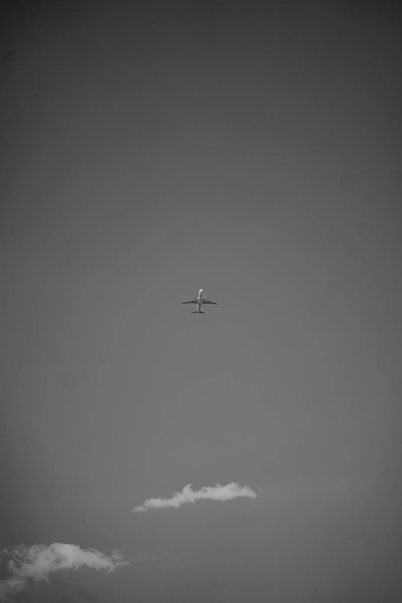 A7402551.jpg
