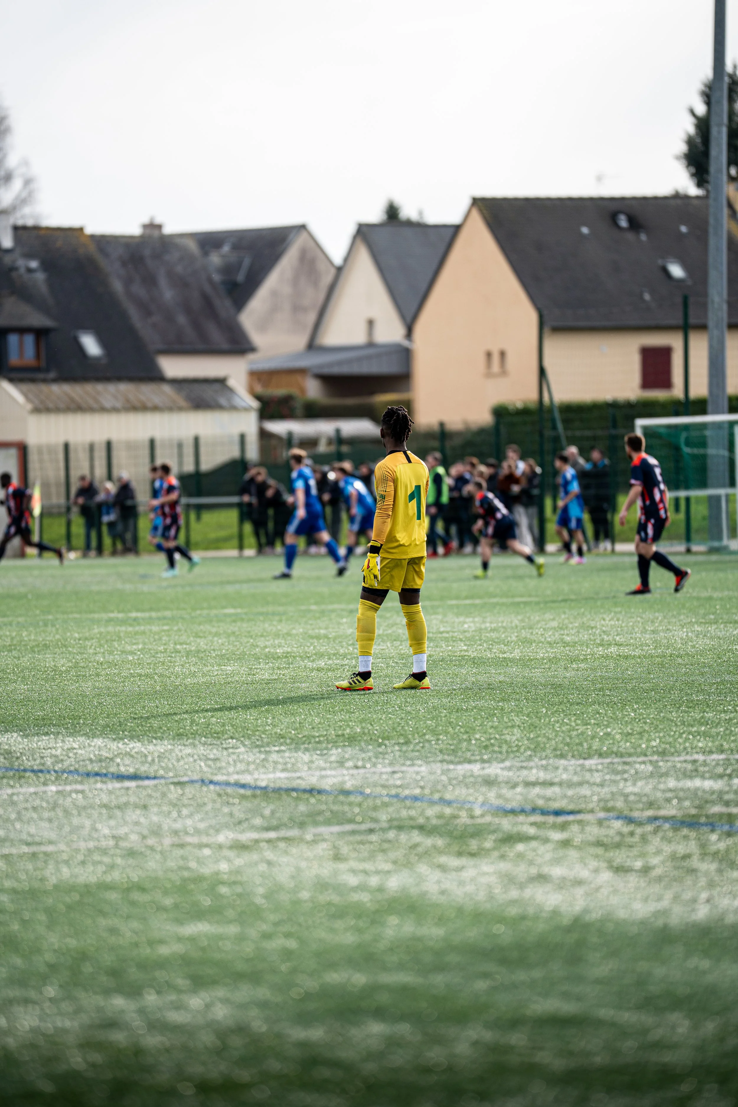 A7400194.jpg