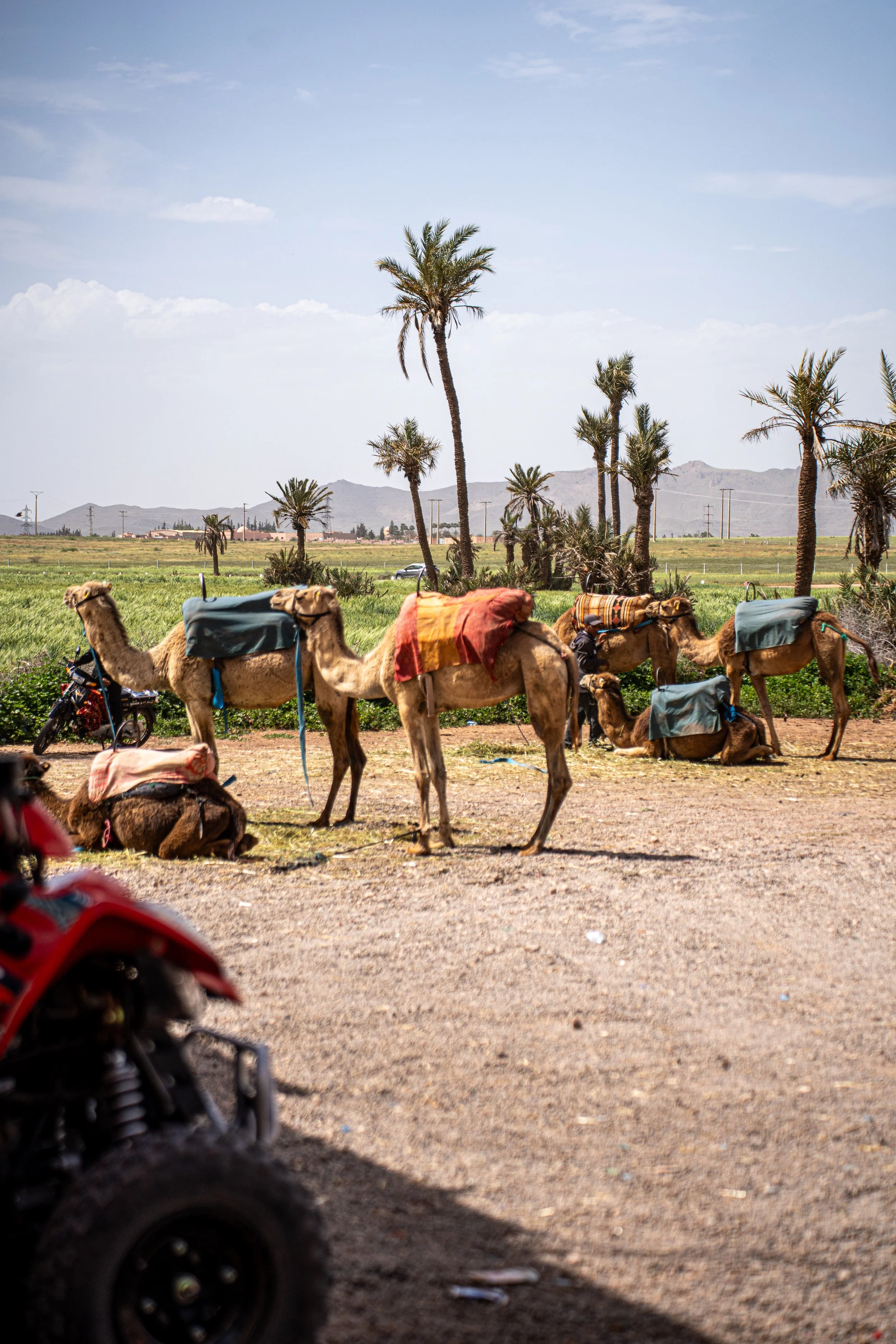 MAROC - MARRAKECH