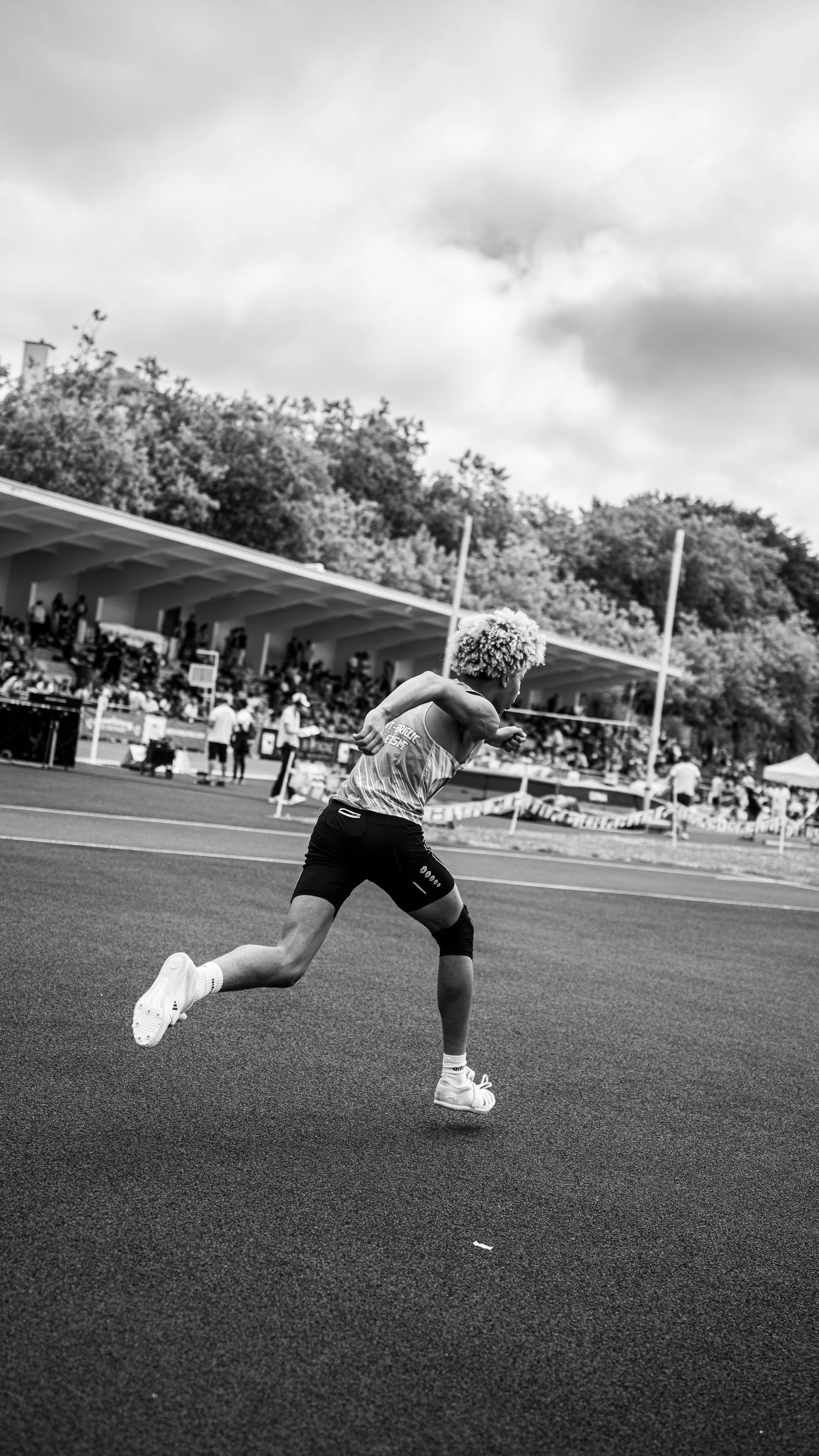 A7404500.jpg