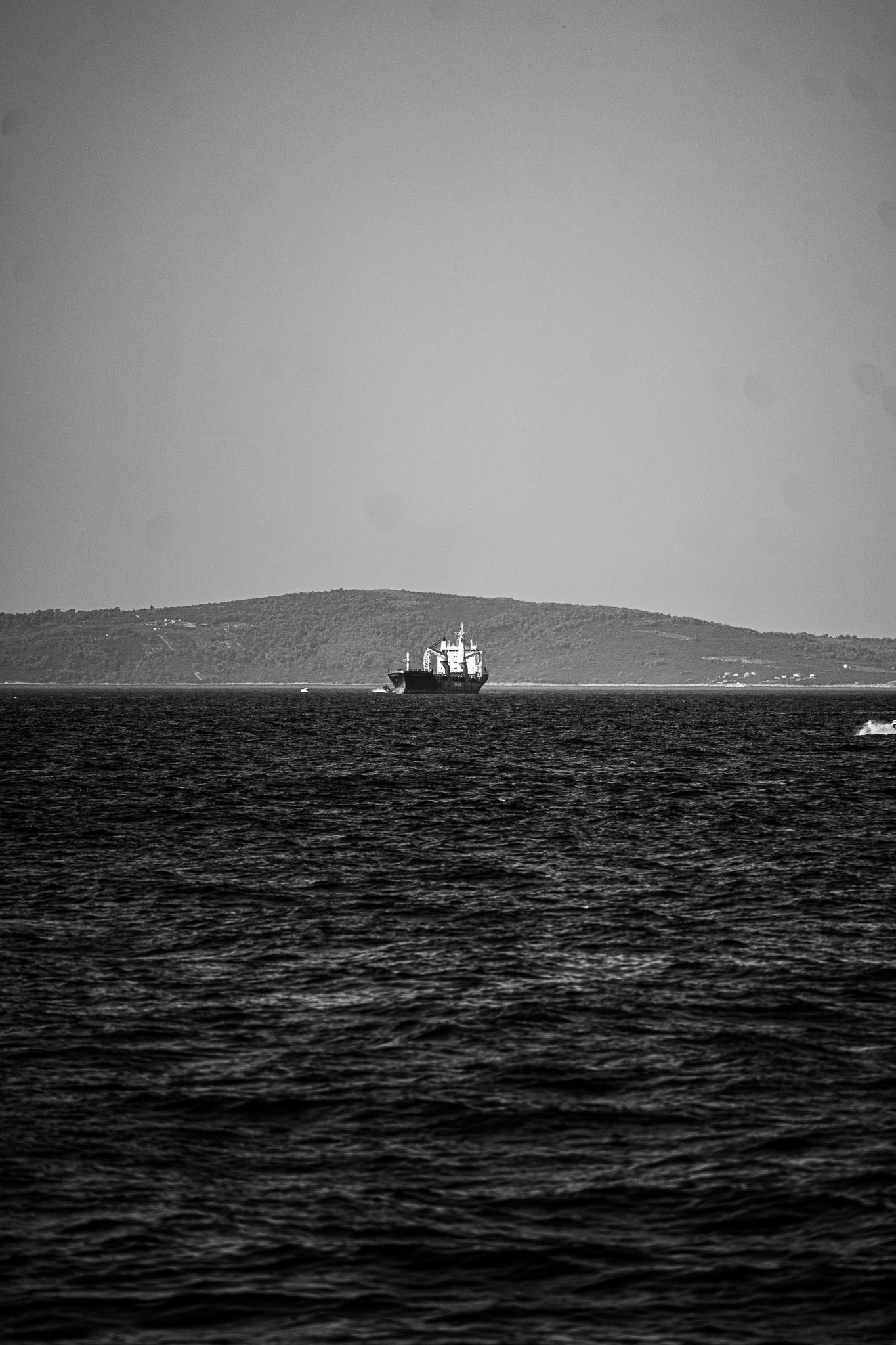 A7402311.jpg