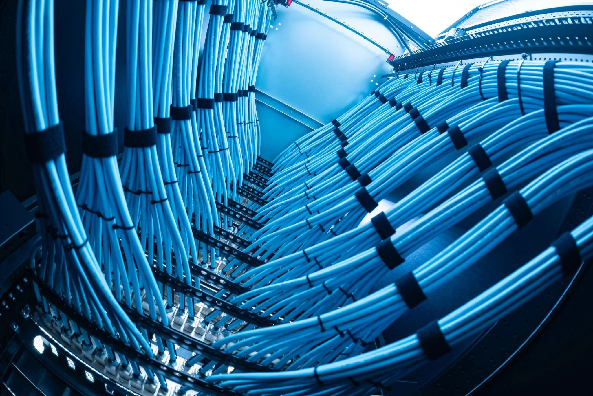 Close-up view of multiple blue Ethernet cables organized in a network server room.