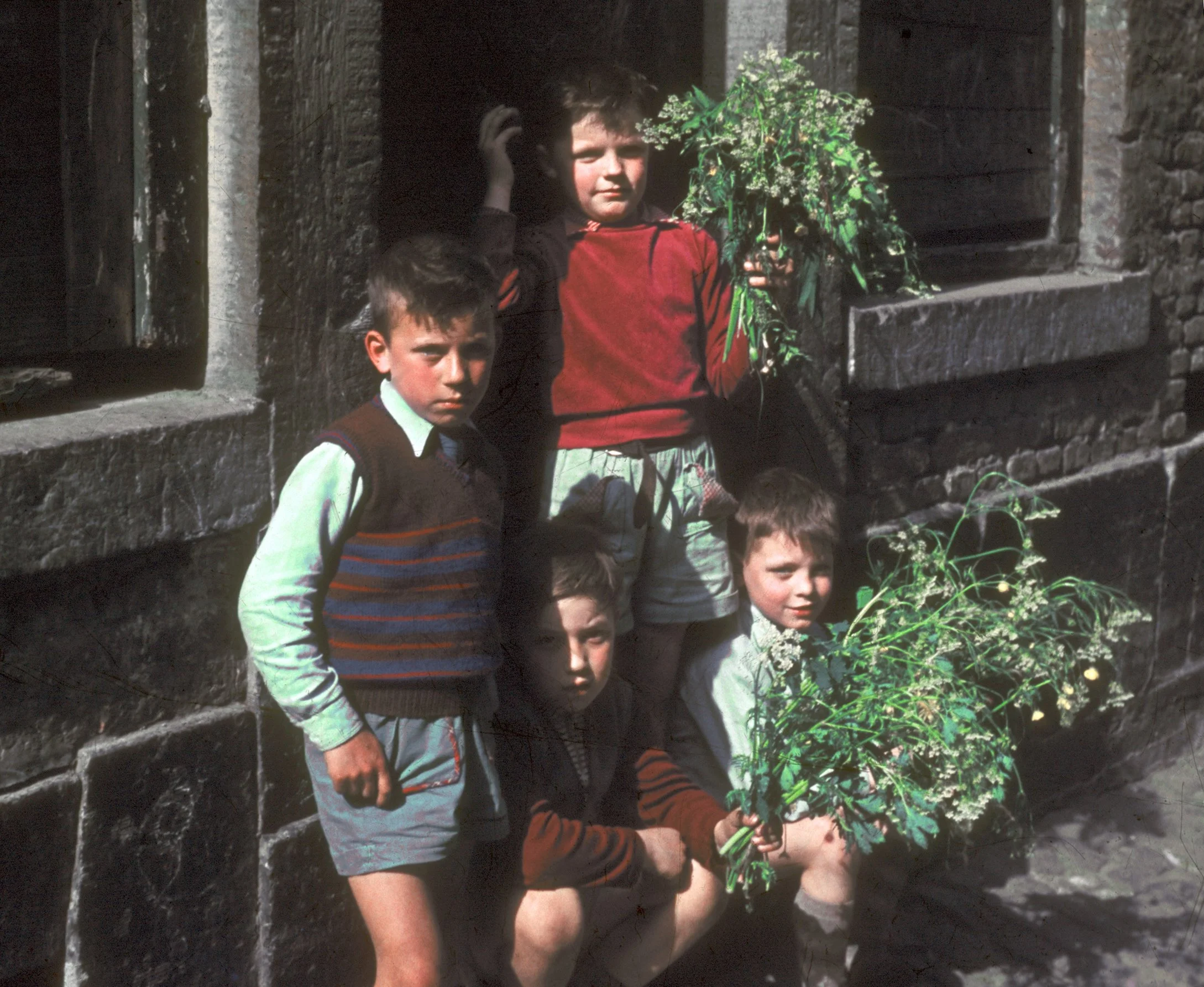 Keurige gamins met maretakken in de Stokstraat, ca. 1959 [WS]
