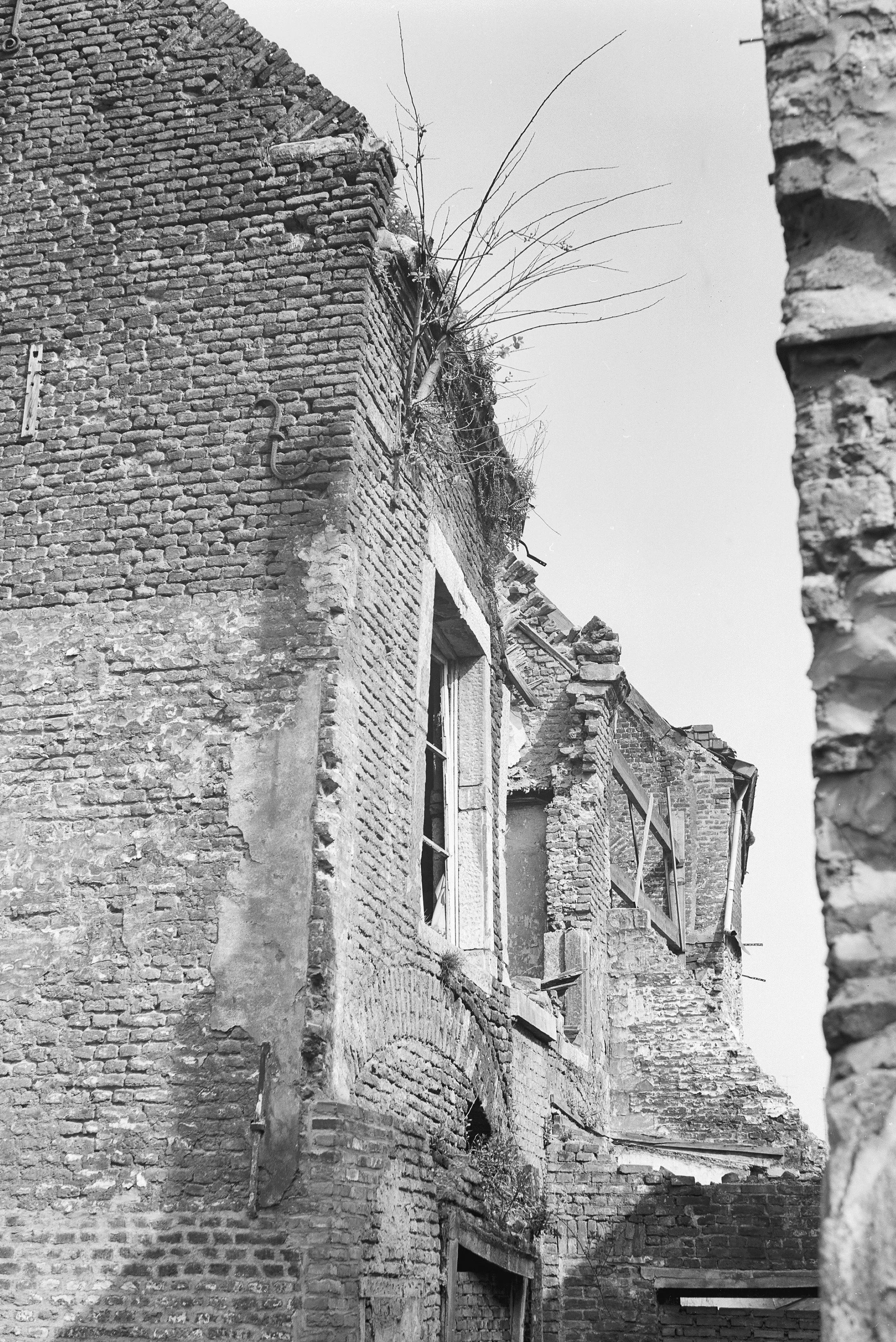 Stokstraat 47-45-43 vervallen en spontaan begroeid, 1966 [RCE]