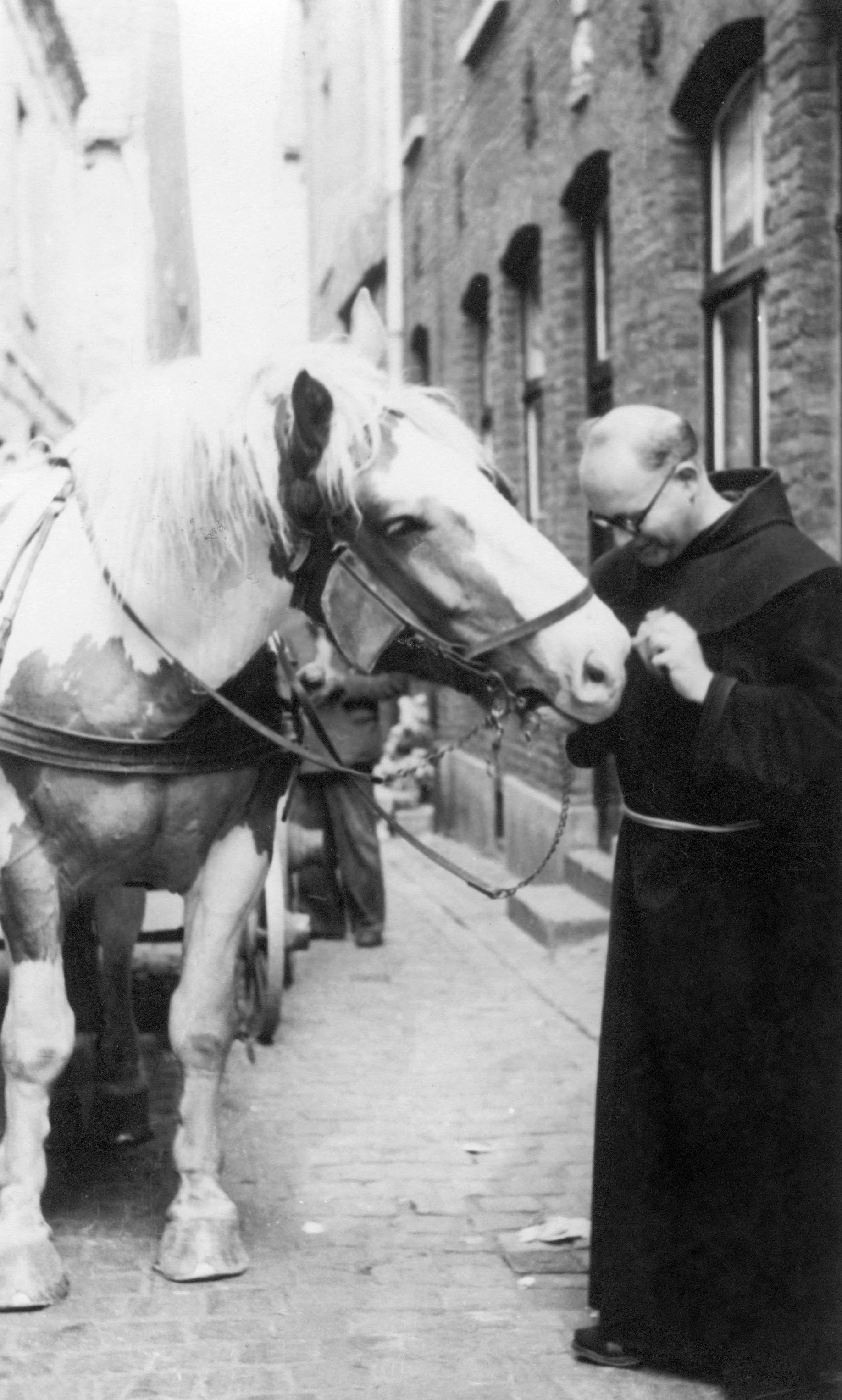 Castorius met (oud-circus)paard Frits van 'Louis de Meijer' [WS]