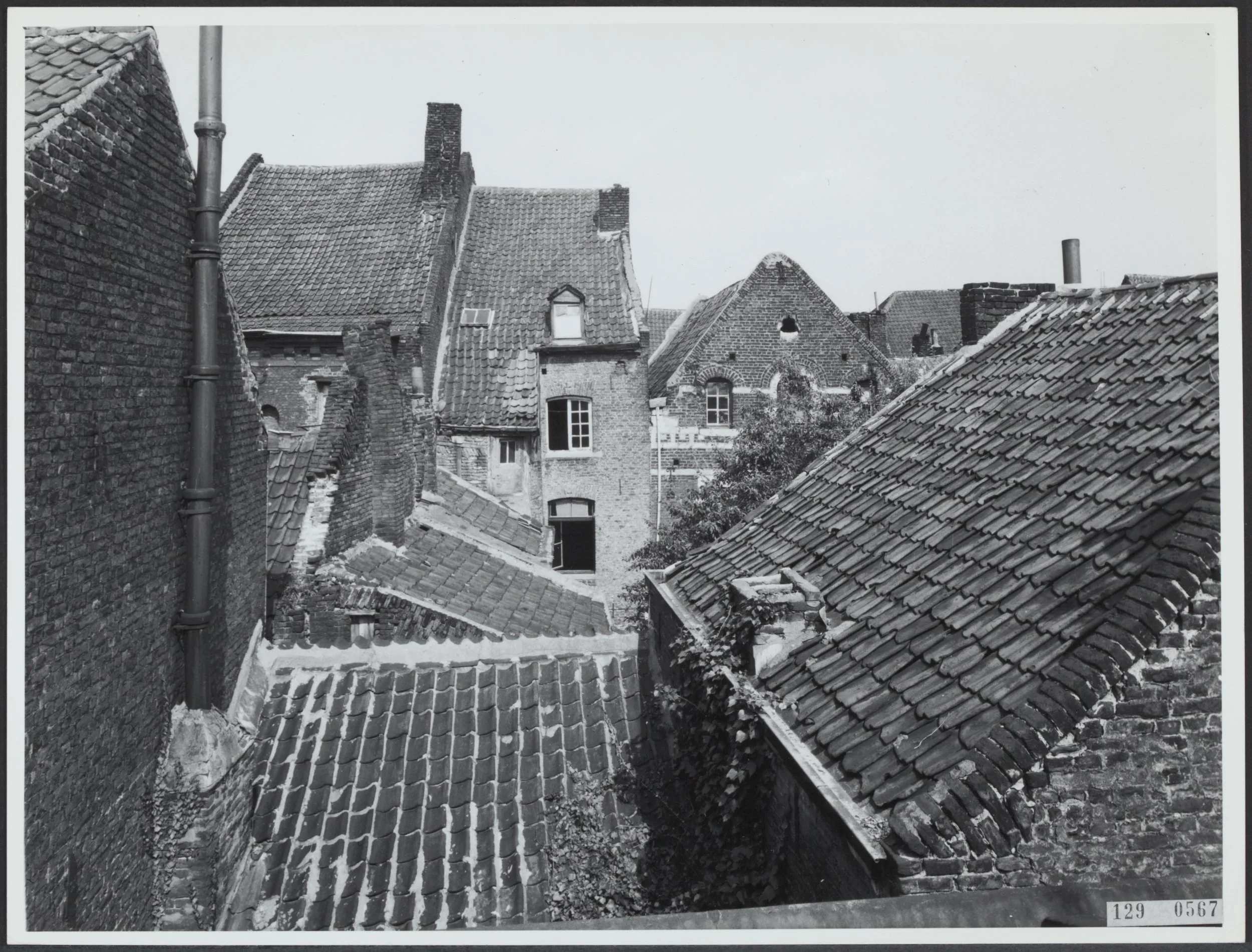 Stokstraat gezien vanuit dakraam van Havenstraat 15, 1954, NA