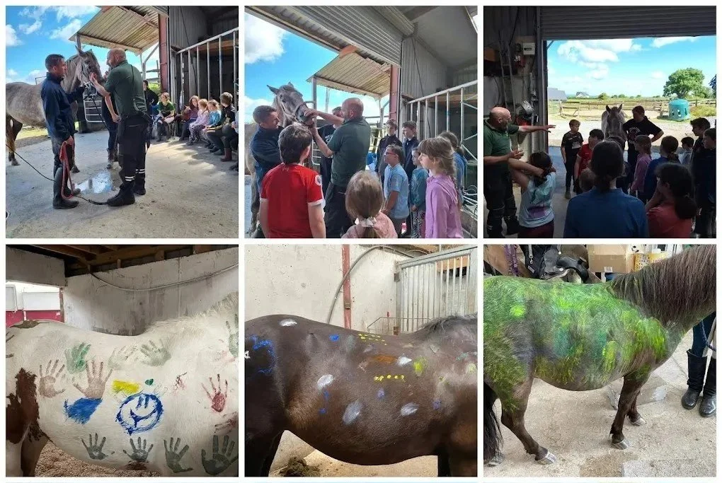 Holiday Camp Pony Care Crafts