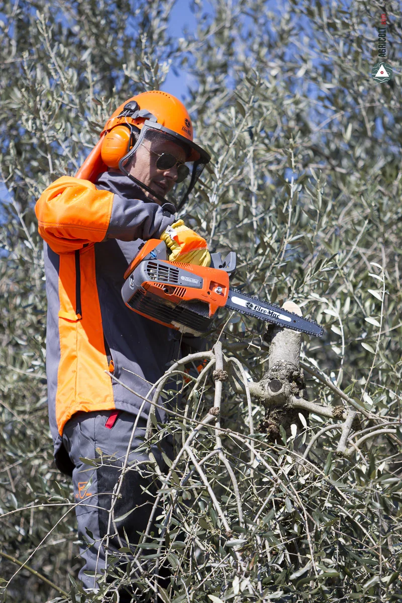 OLEOMAC_tronconneuse_GST250-01_16_800x.webp