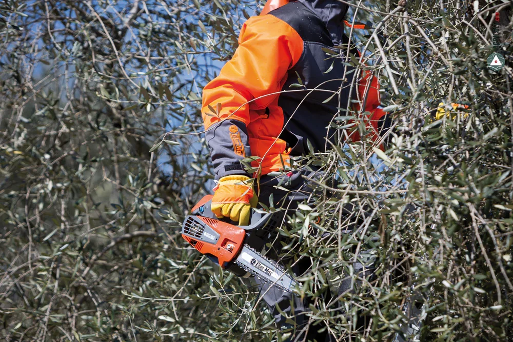 OLEOMAC_tronconneuse_GST250-01_17_1000x.webp
