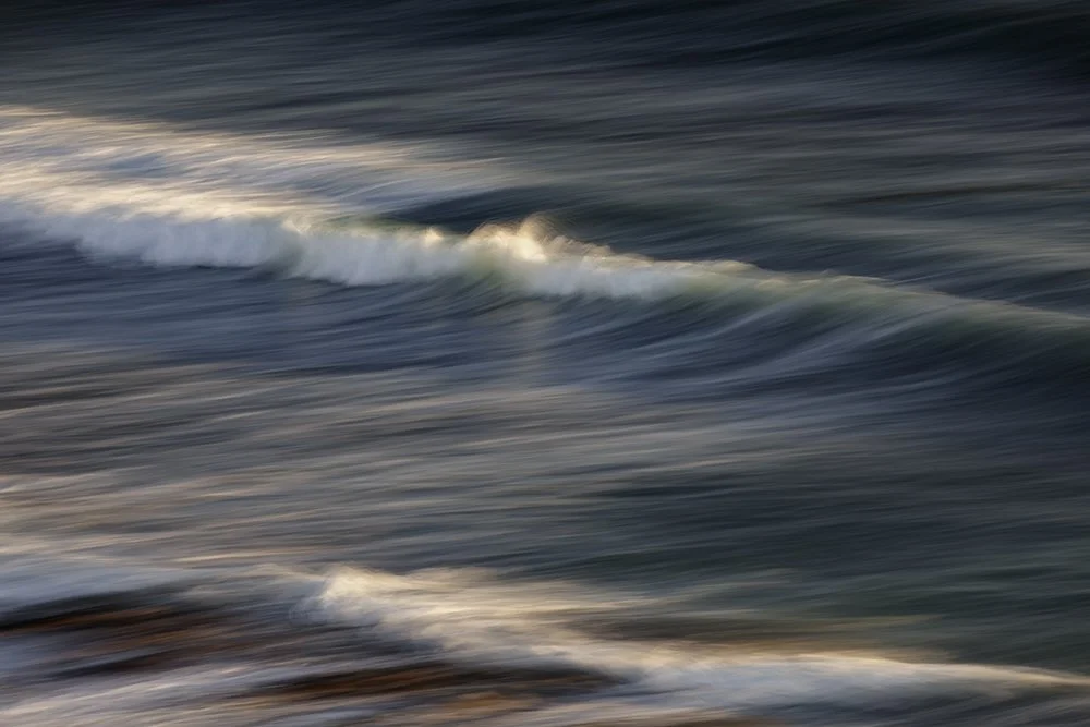 Echo of Movement