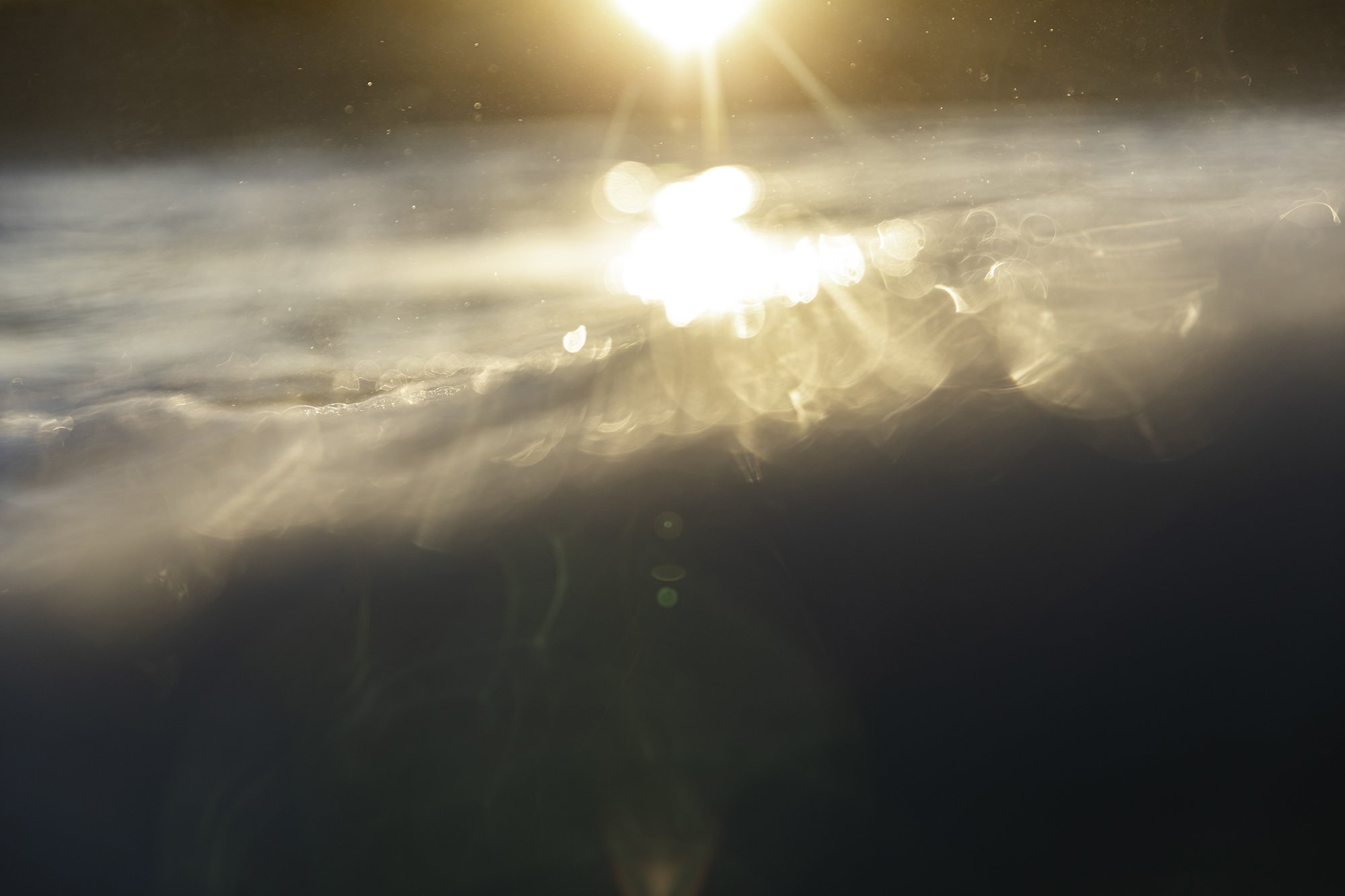 Morning Light