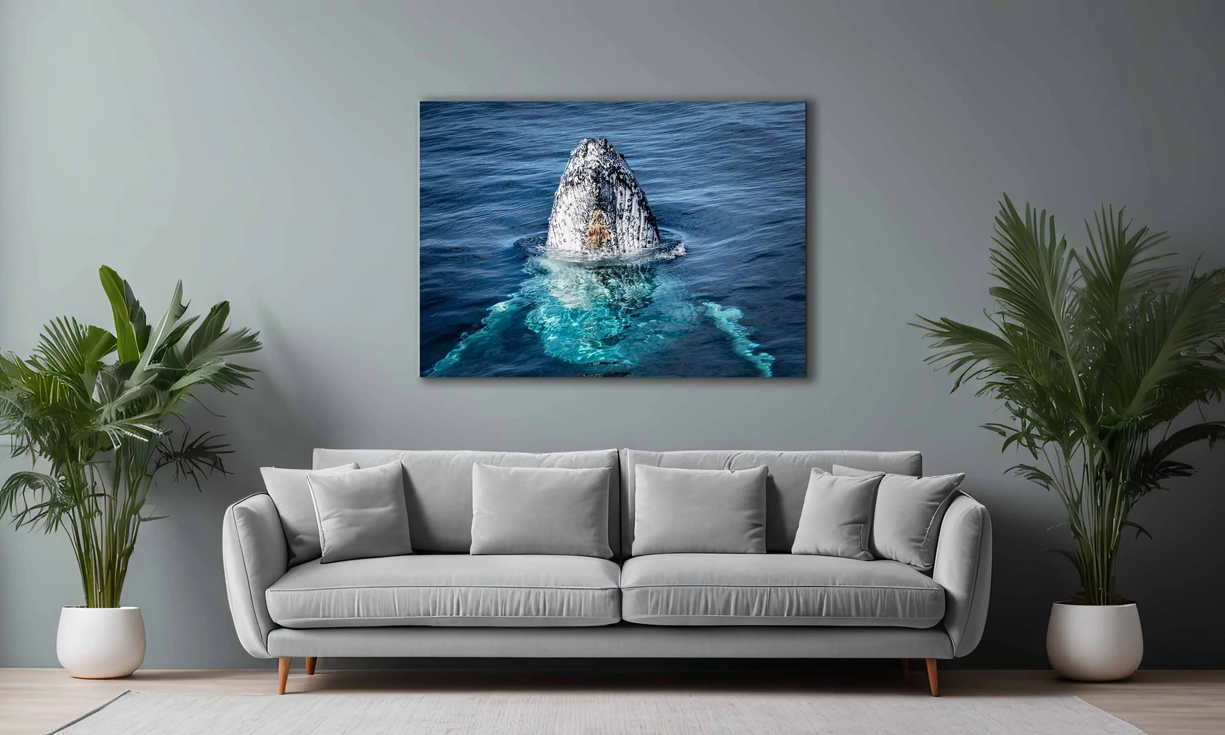 CWP0027 - Whale Calf.jpg