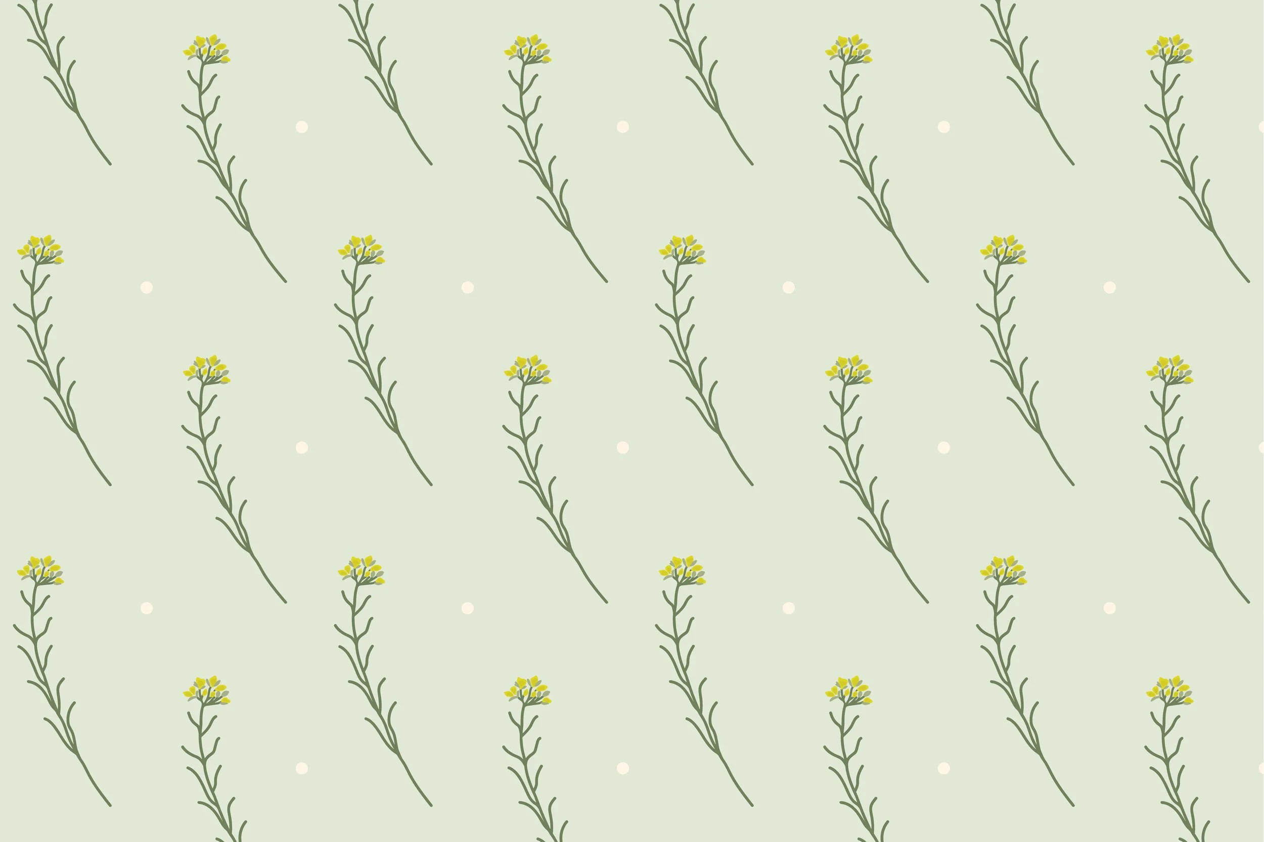 horizontal1.jpg