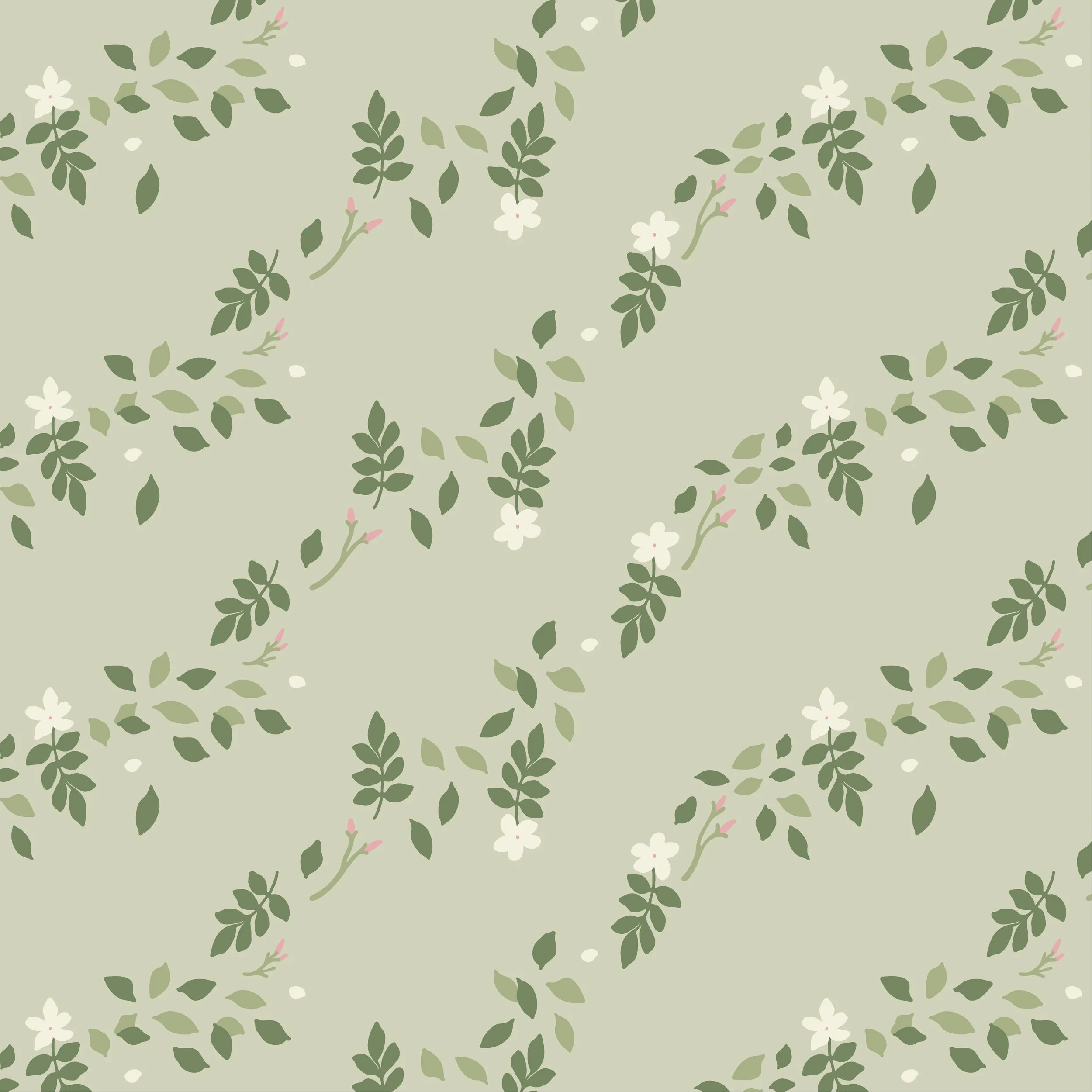 SpanishJasmine.jpg