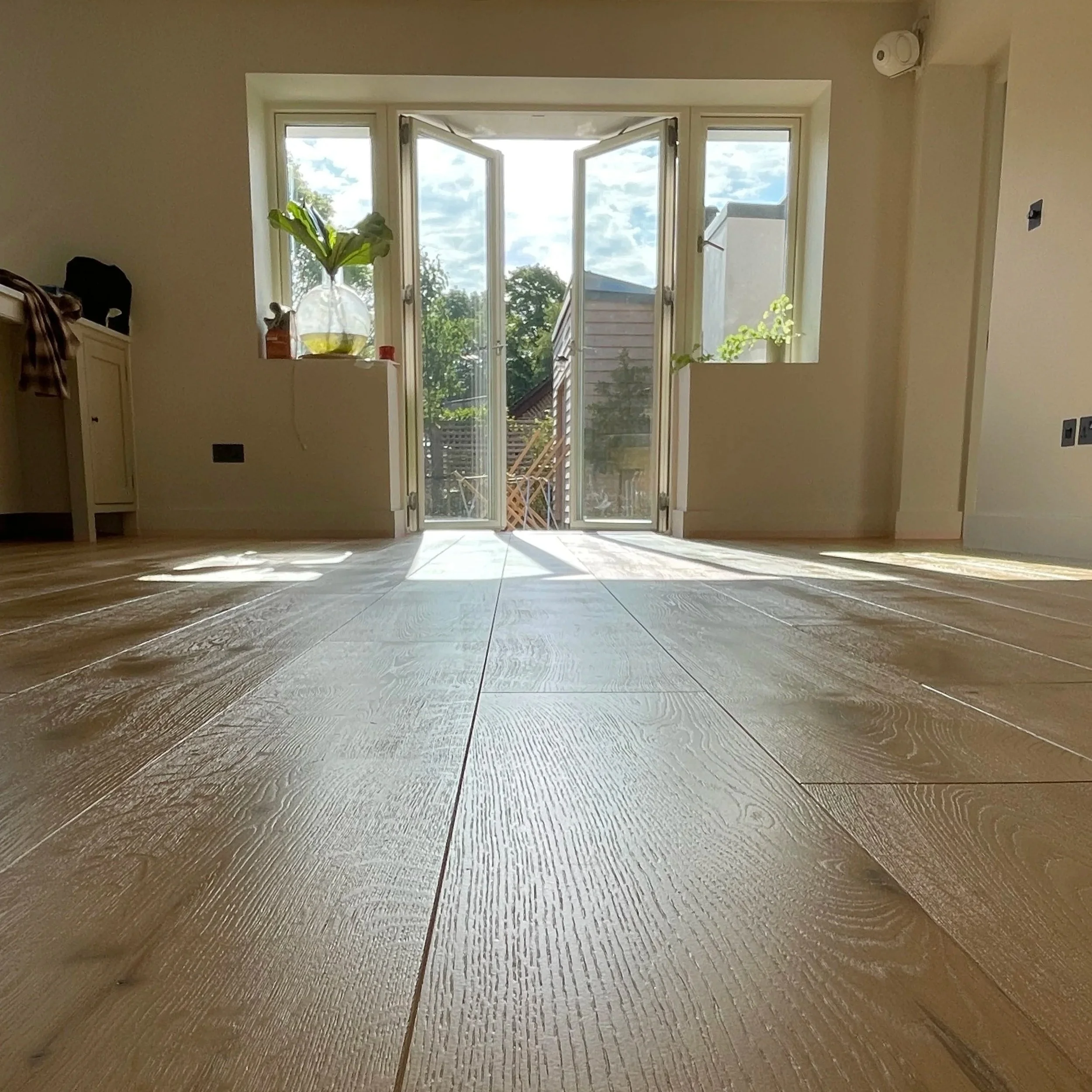 Photograph of a bright room with natural sunlight coming through large glass doors and windows, showcasing a view of trees and a neighboring house outside. The room has light-colored wooden flooring, minimal furniture on the left, and some potted plants on the ledges of the open doors.