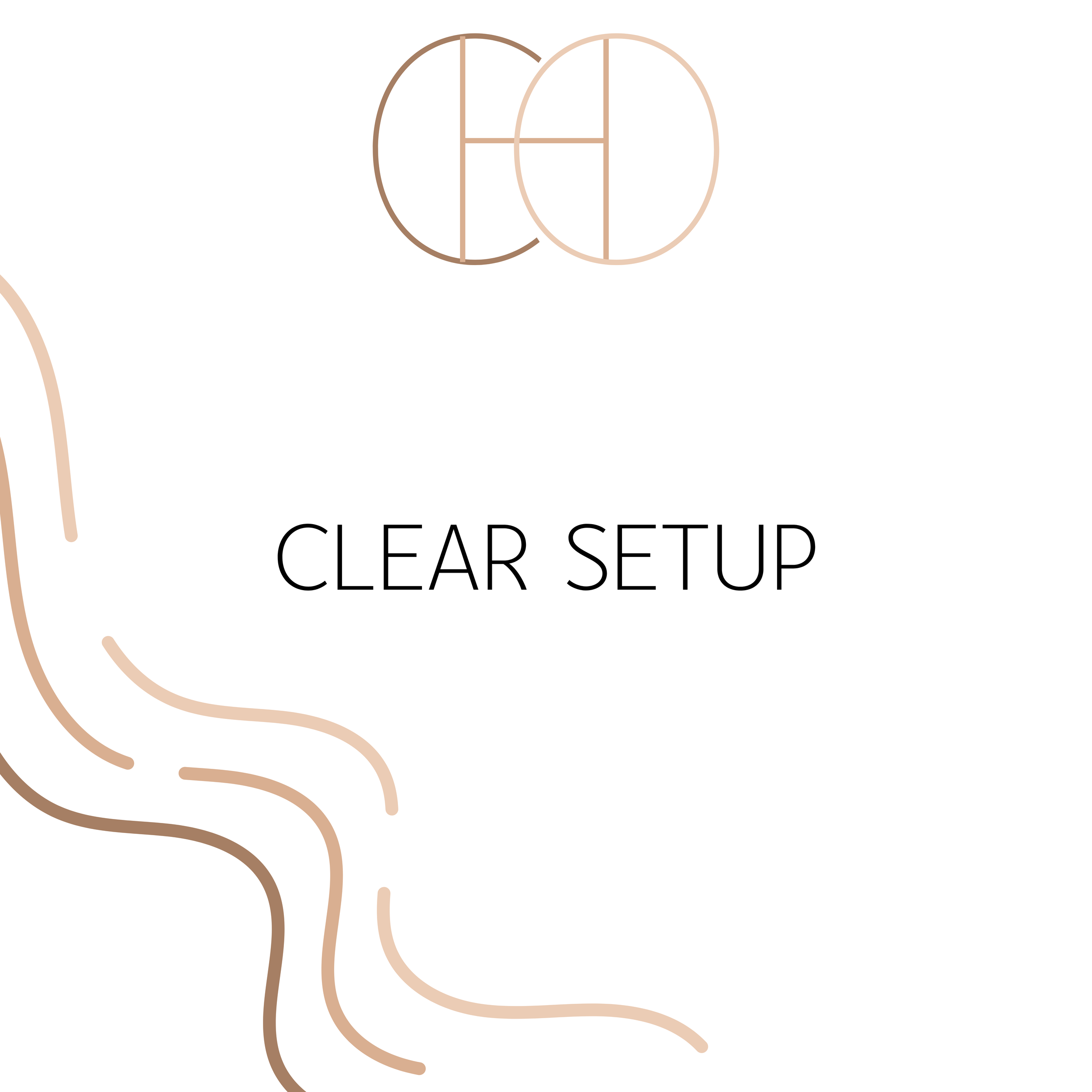 CLEAR SETUP