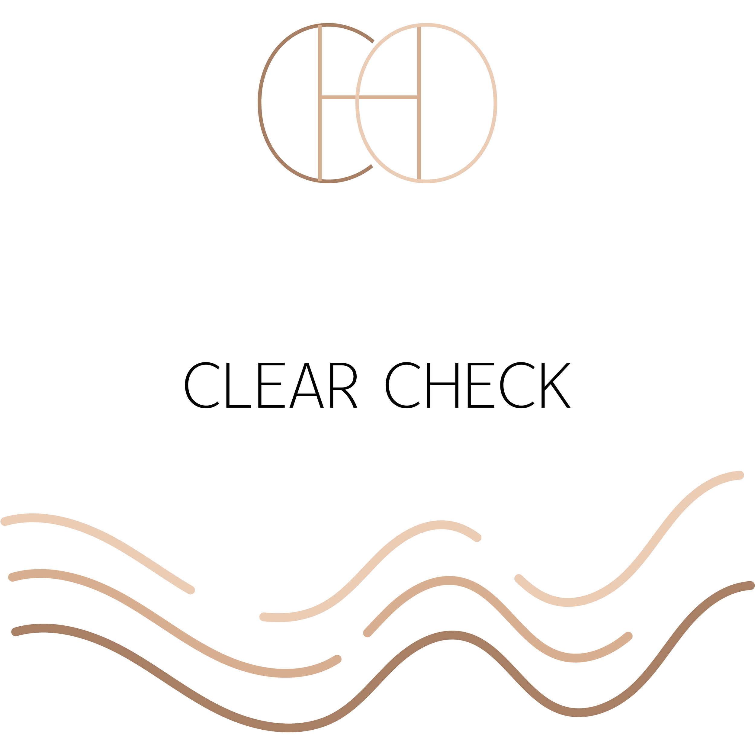 CLEAR CHECK