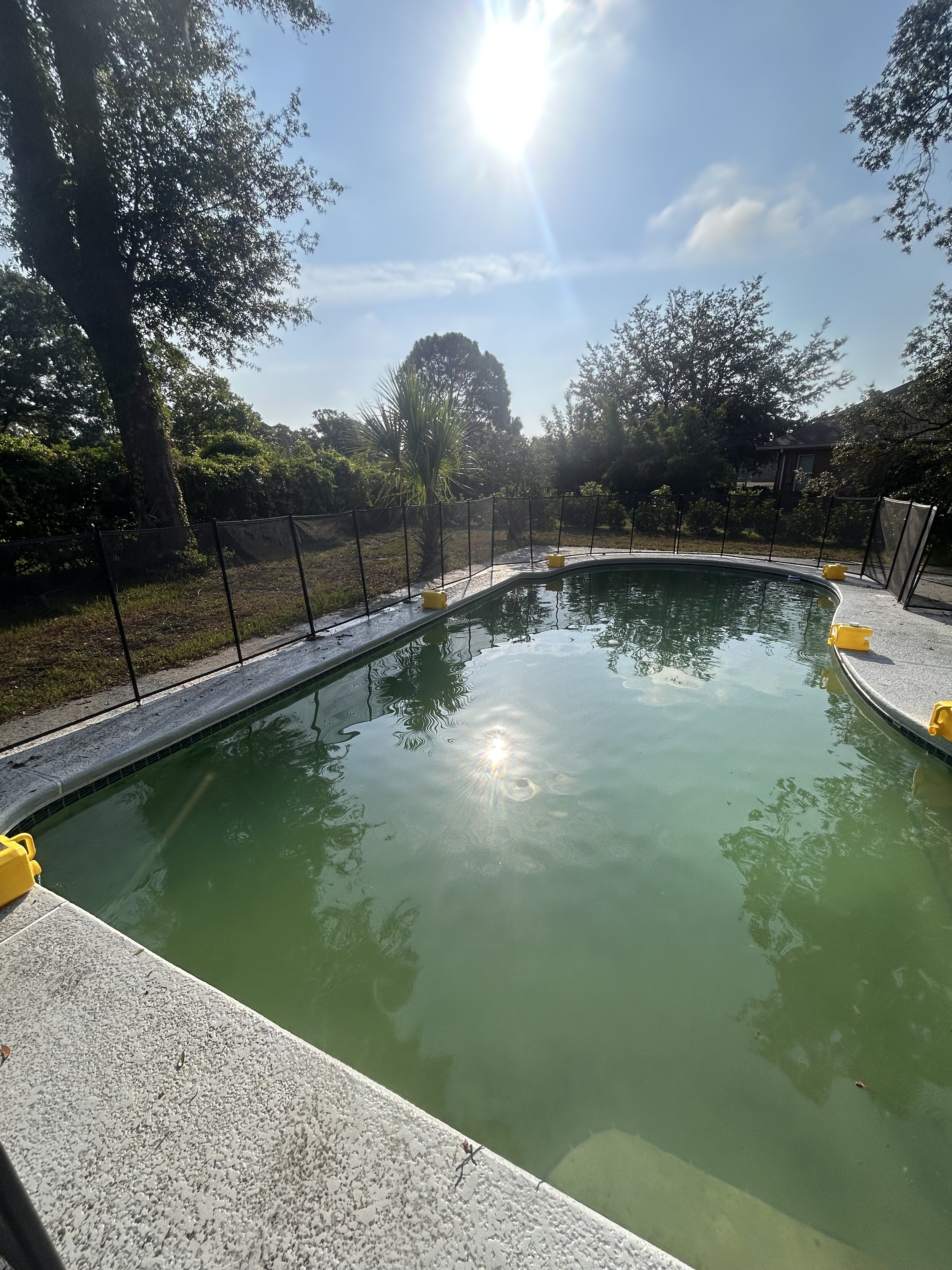 Why Does My Pool Turn Green So Fast in Jacksonville, Florida?