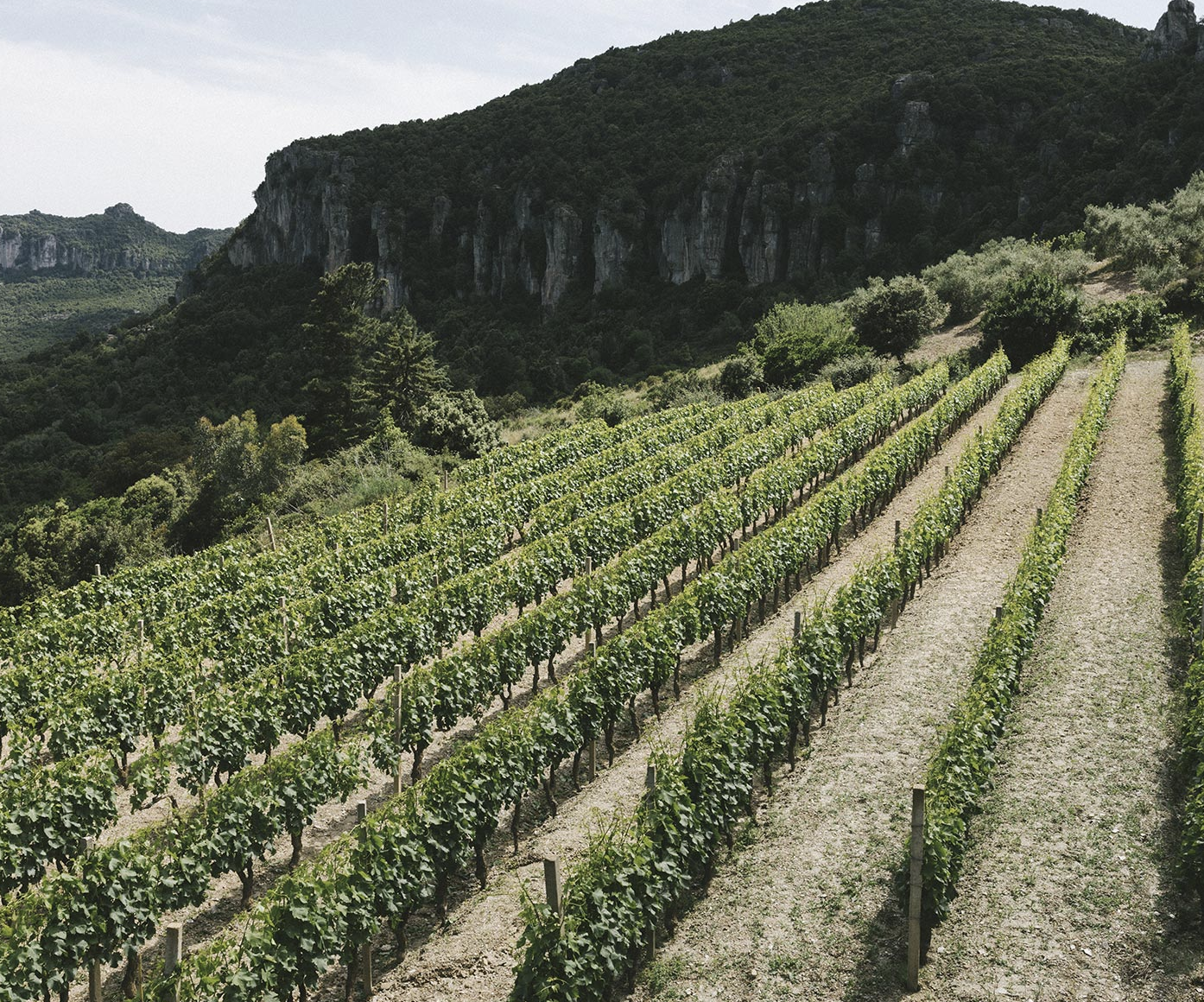 Screenshot 2026-04-25 at 12.12.18 PM.png