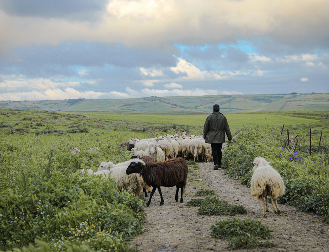 An Ancient Feast Among the Nuraghi