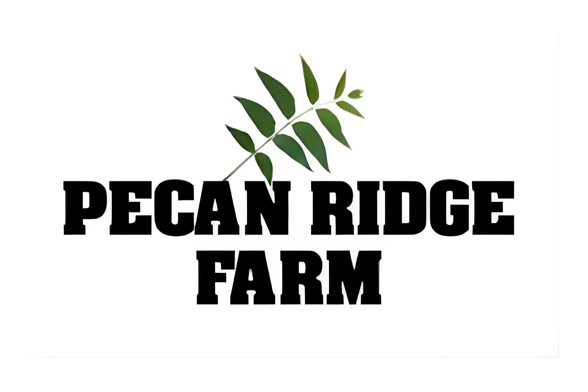 Pecan+Ridge+Farm.png