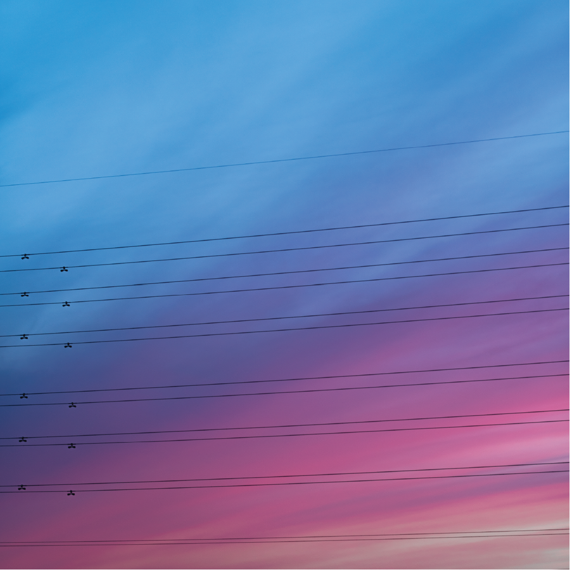 photo-16.png