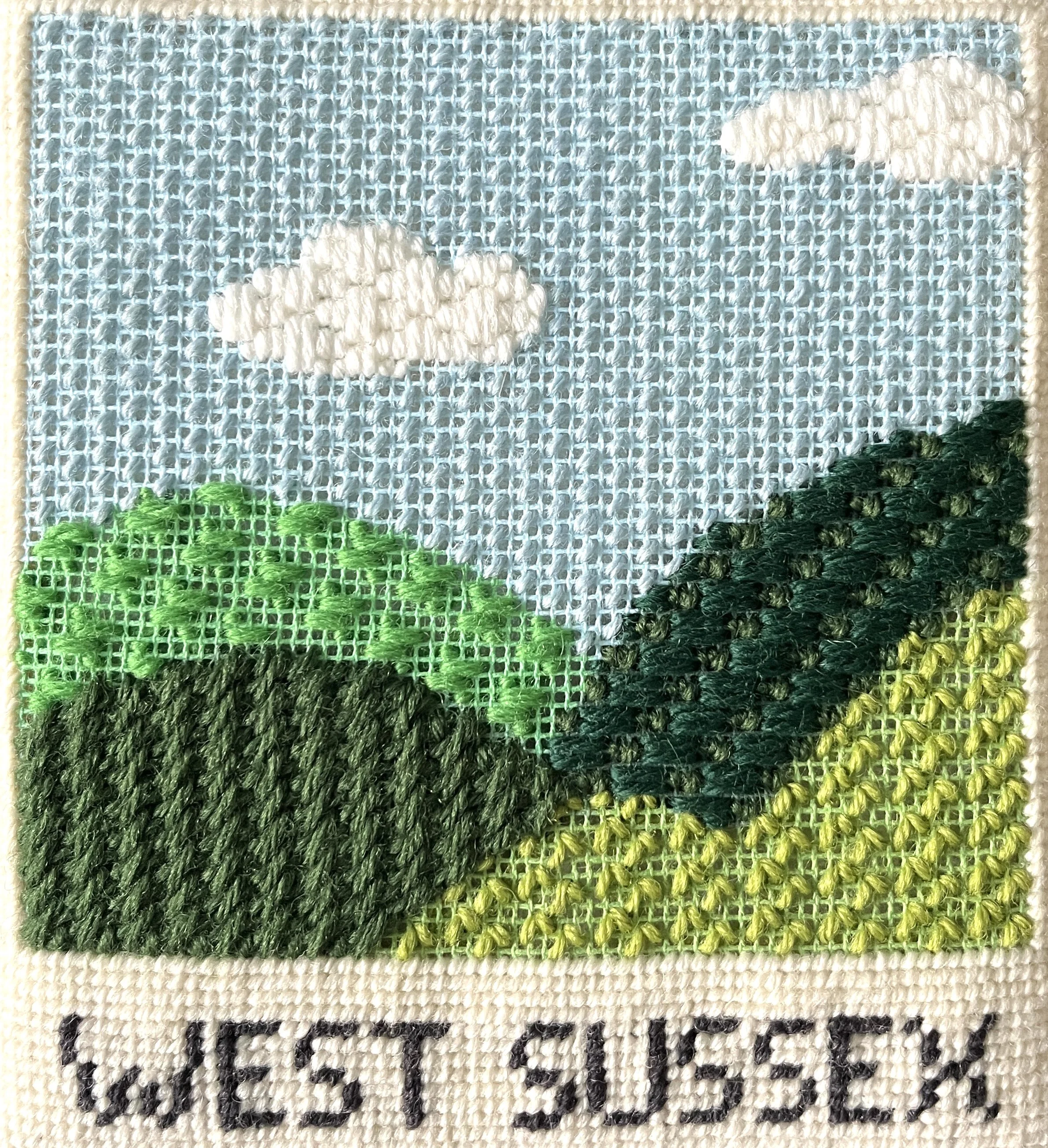 Close-up of embroidered text on a fabric surface. The embroidered design features a cloud, a green dragonfly, and the word 'Pond' with some decorative stitching, all on a light blue background.
