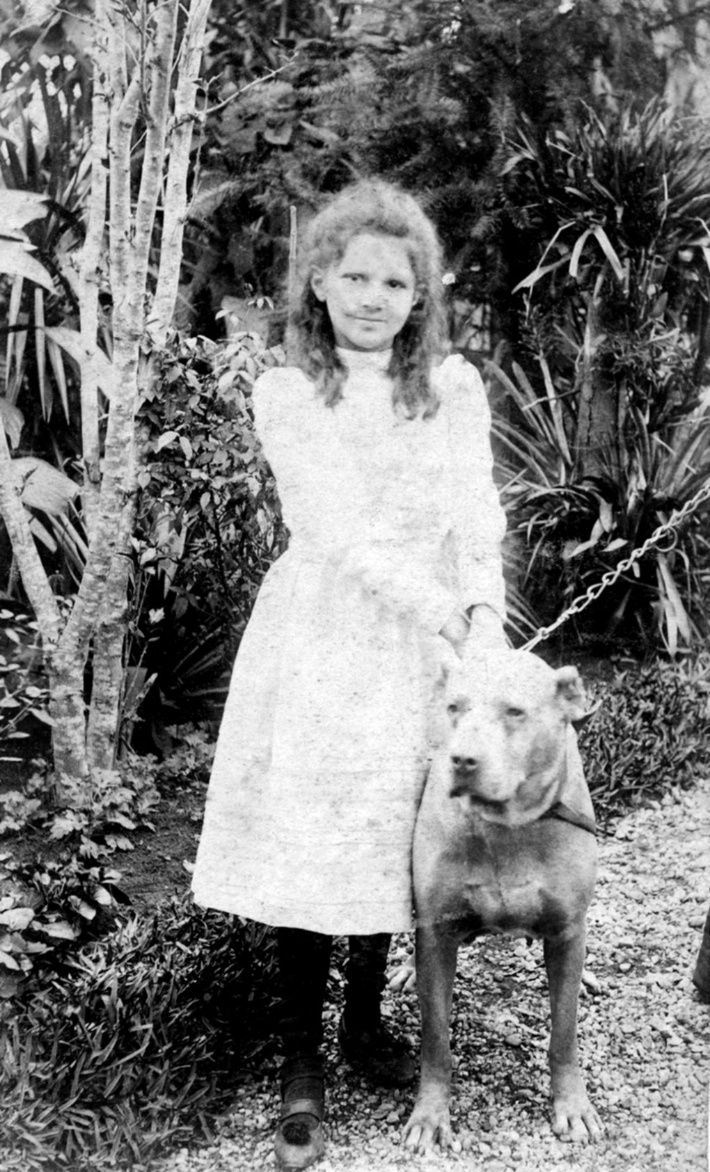 Liddy com cachorro (1901)