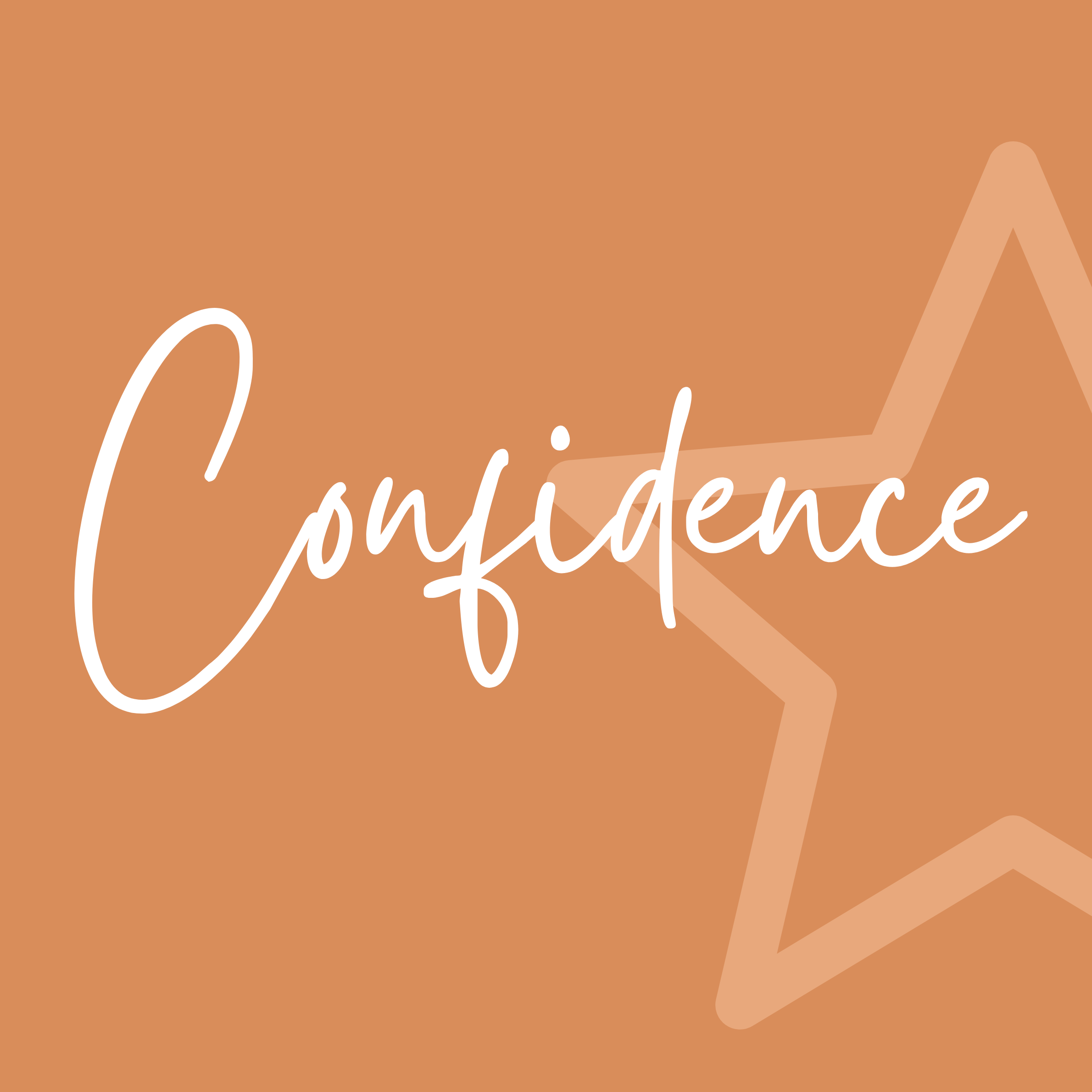 Close-up of a terracotta-coloured background with white cursive text reading 'confidence' and subtle star graphic.