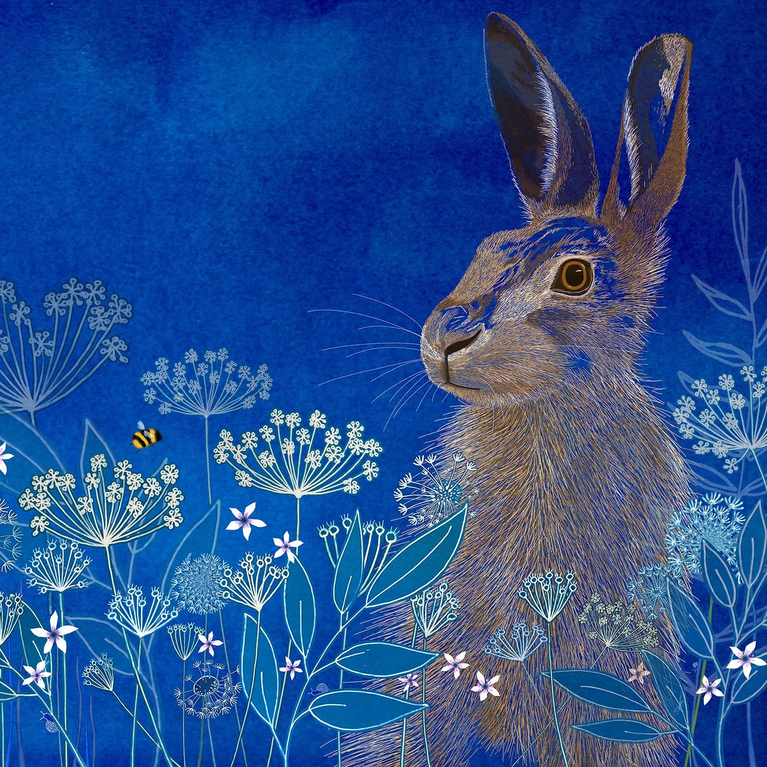 New: Meadow's Edge
