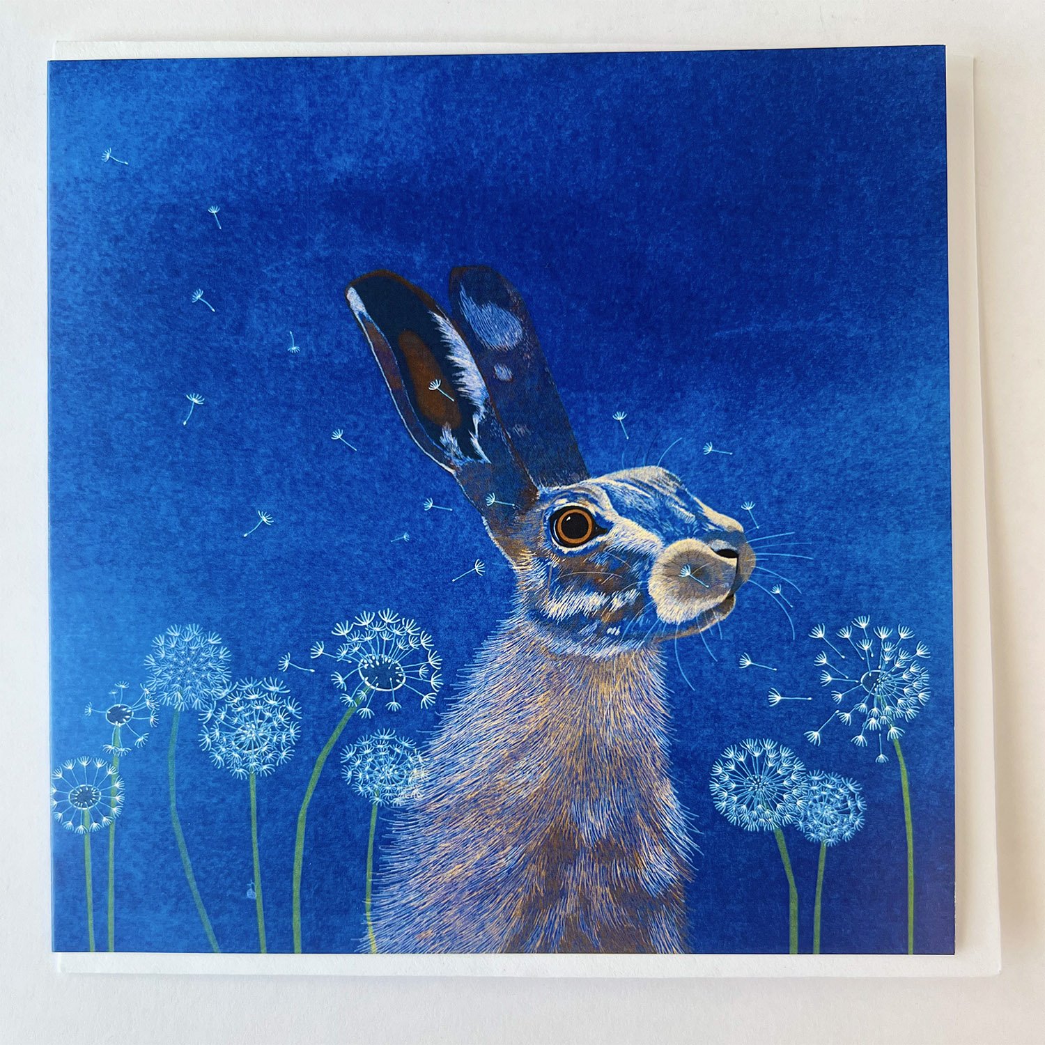 Good Hare Day